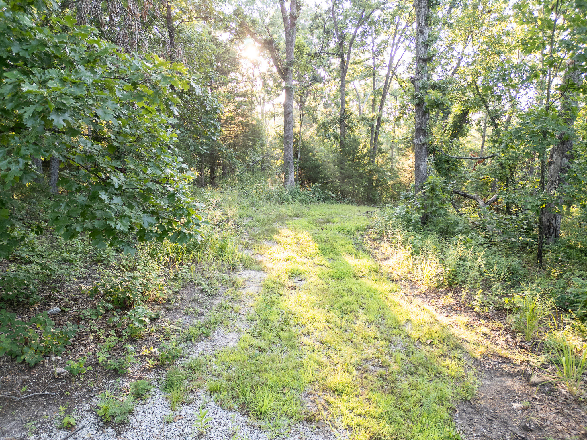 Tbd Canfield Lane Property Photo 6