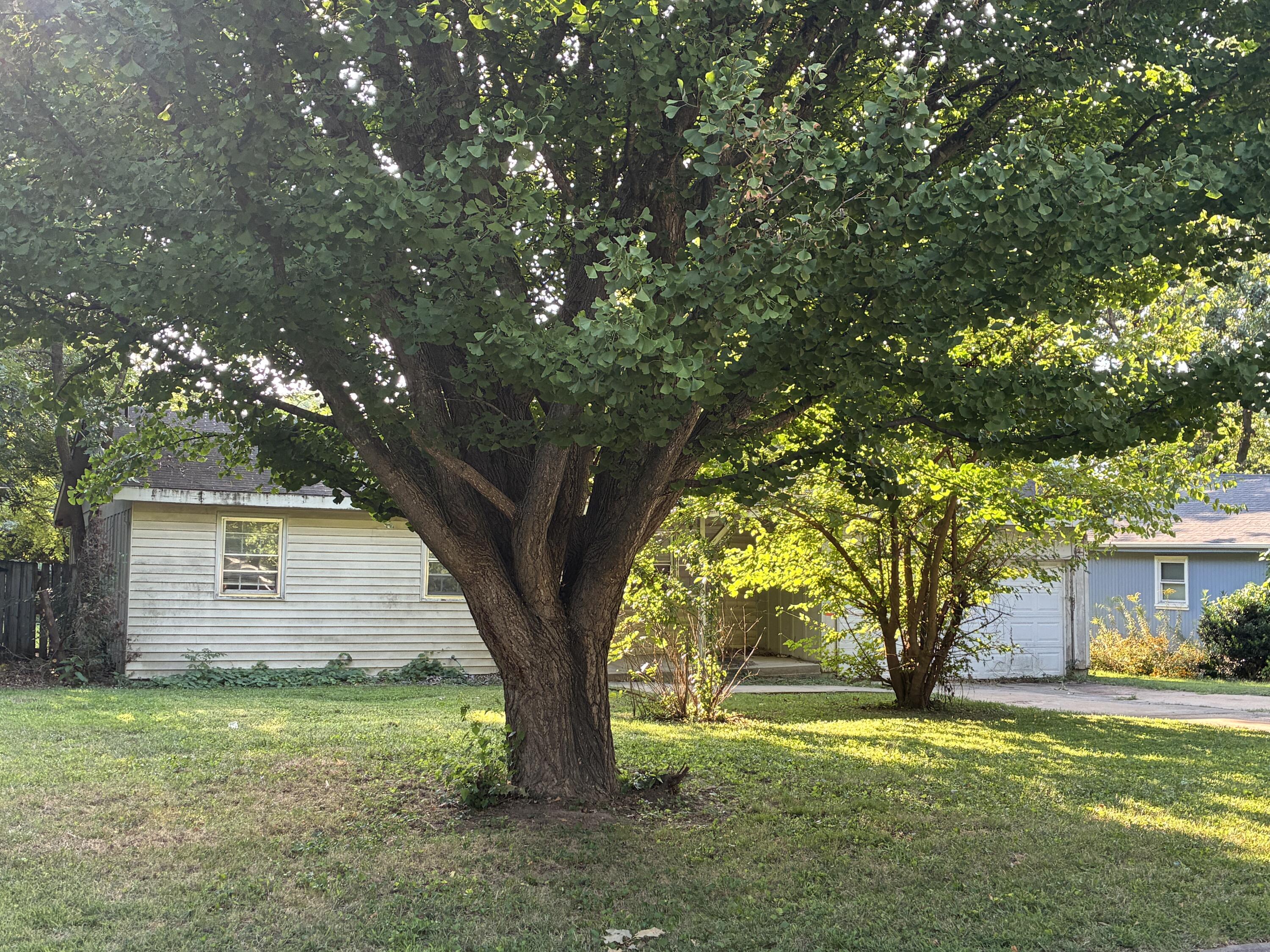 909 South Devonshire Drive Property Photo 2