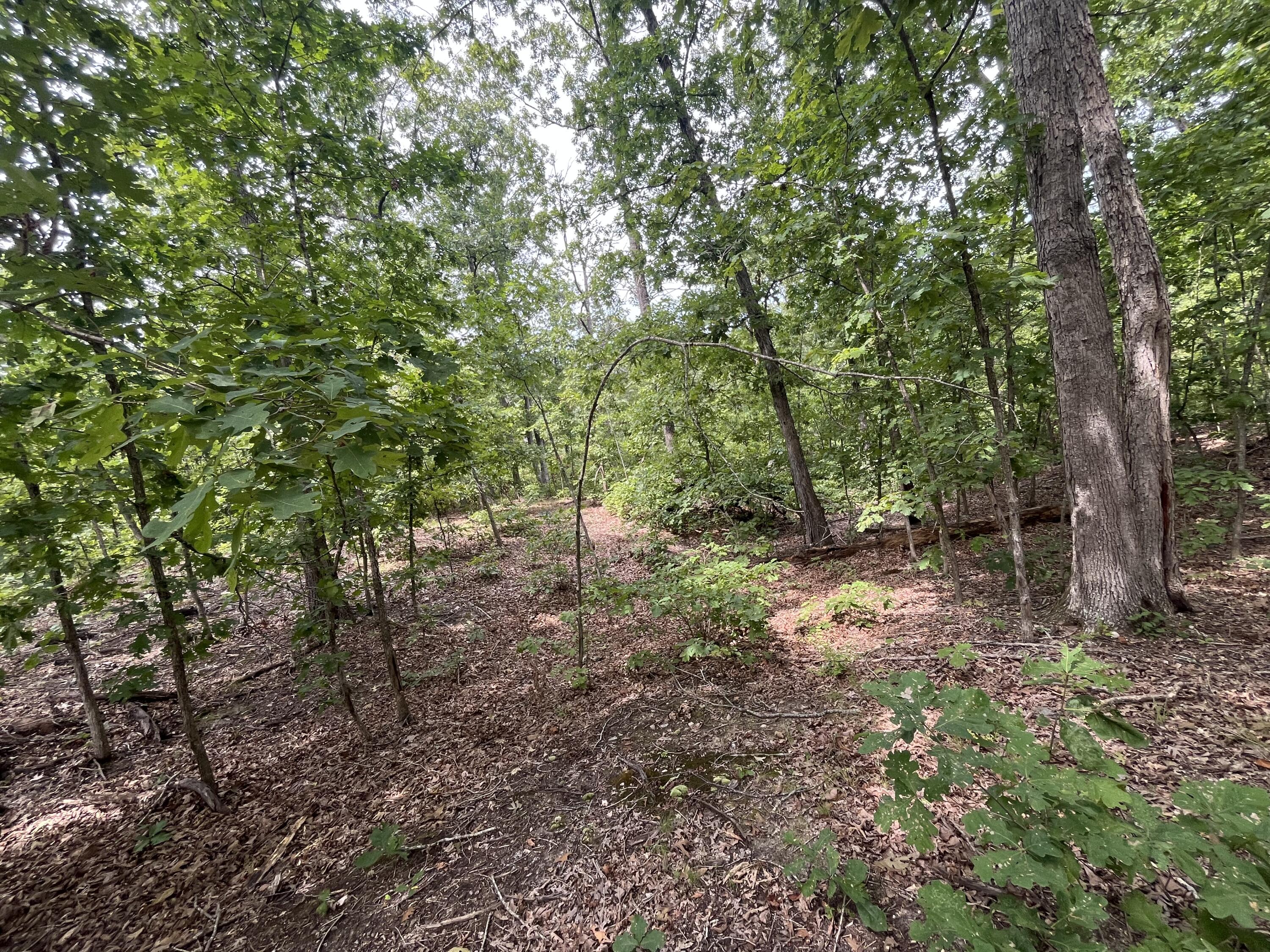 1 Partridge Drive Property Photo 1