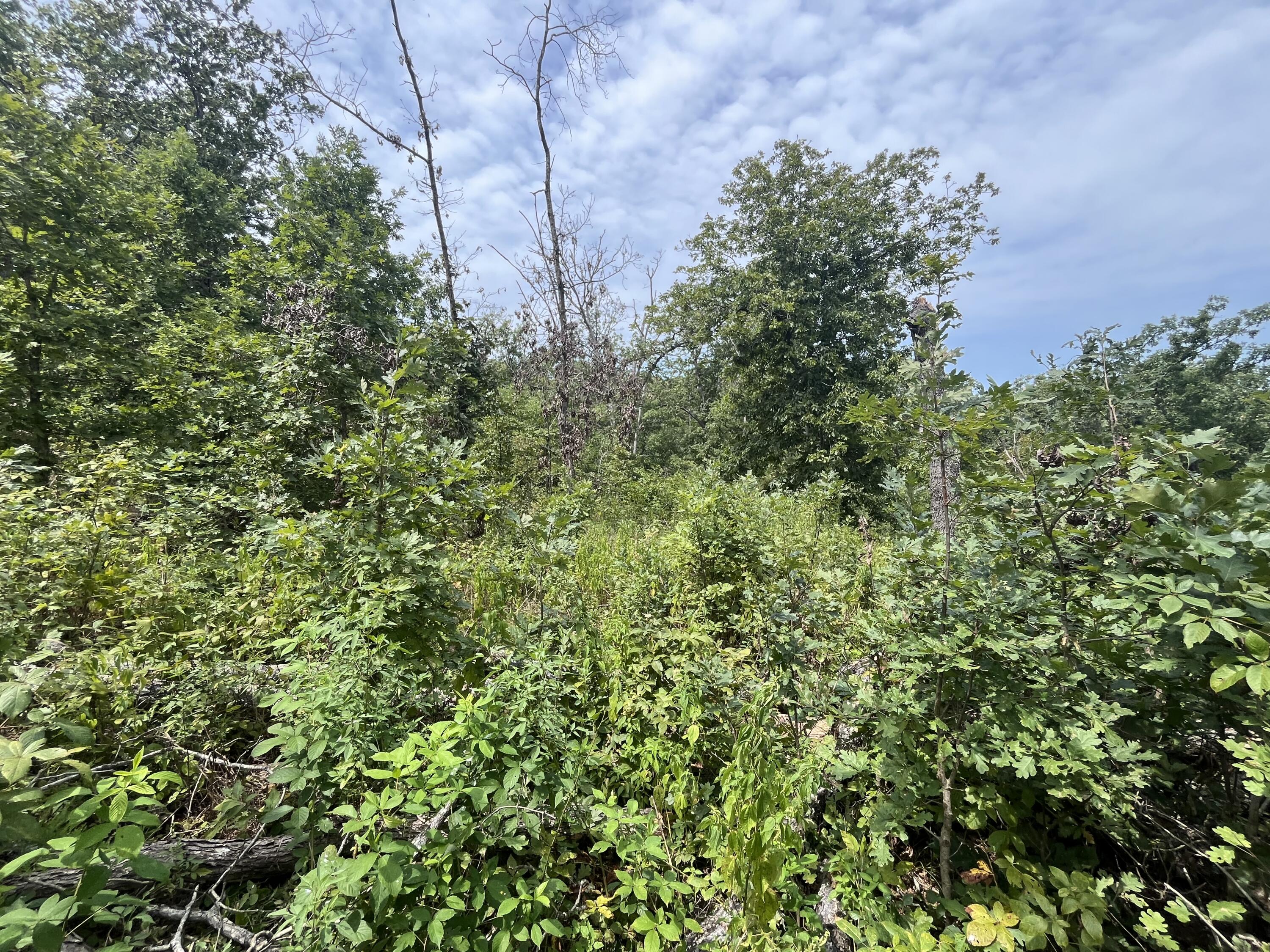 1 Partridge Drive Property Photo 11