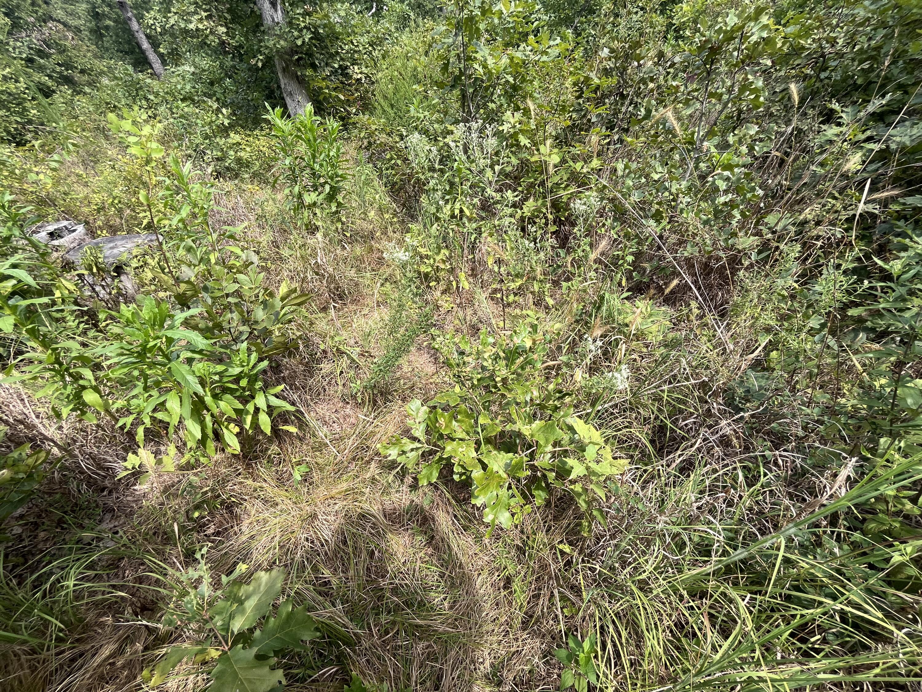 1 Partridge Drive Property Photo 13