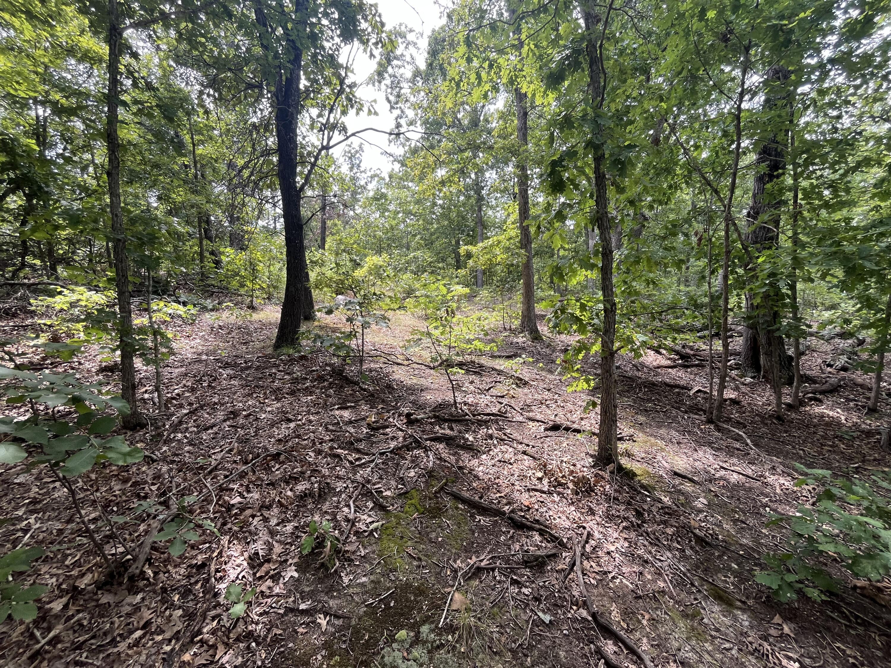 1 Partridge Drive Property Photo 14