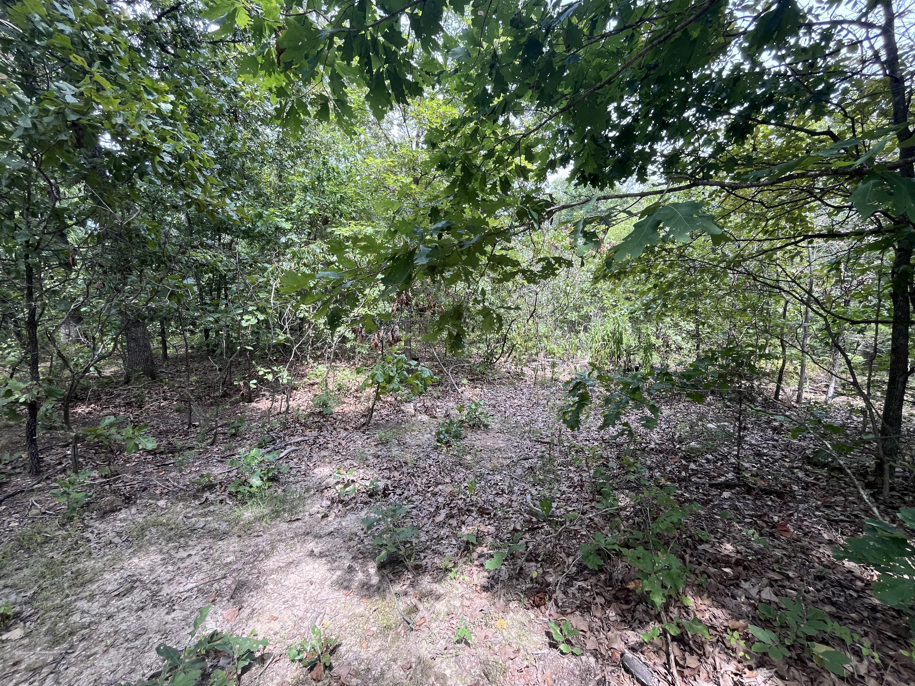 1 Partridge Drive Property Photo 18