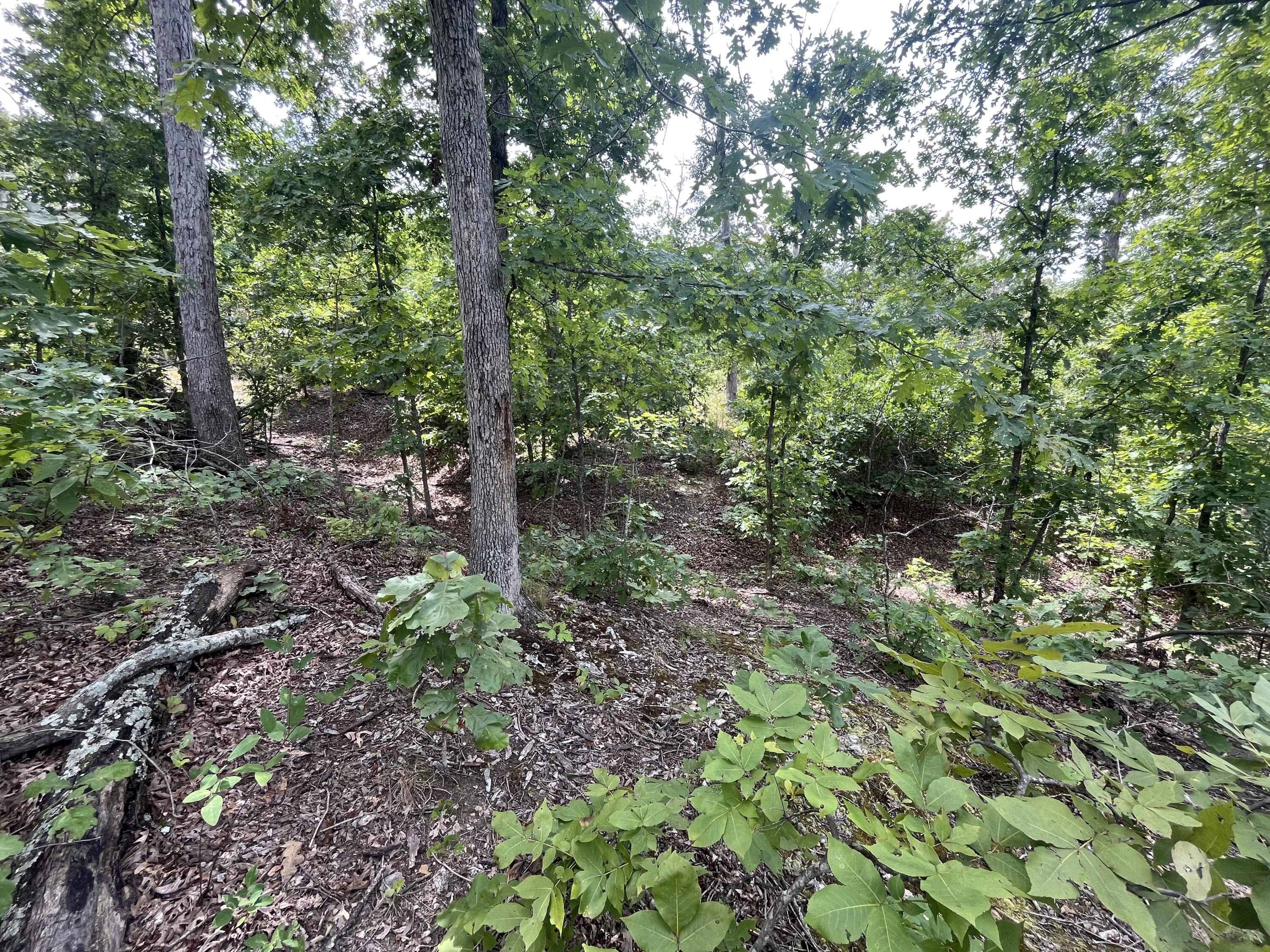 1 Partridge Drive Property Photo 21
