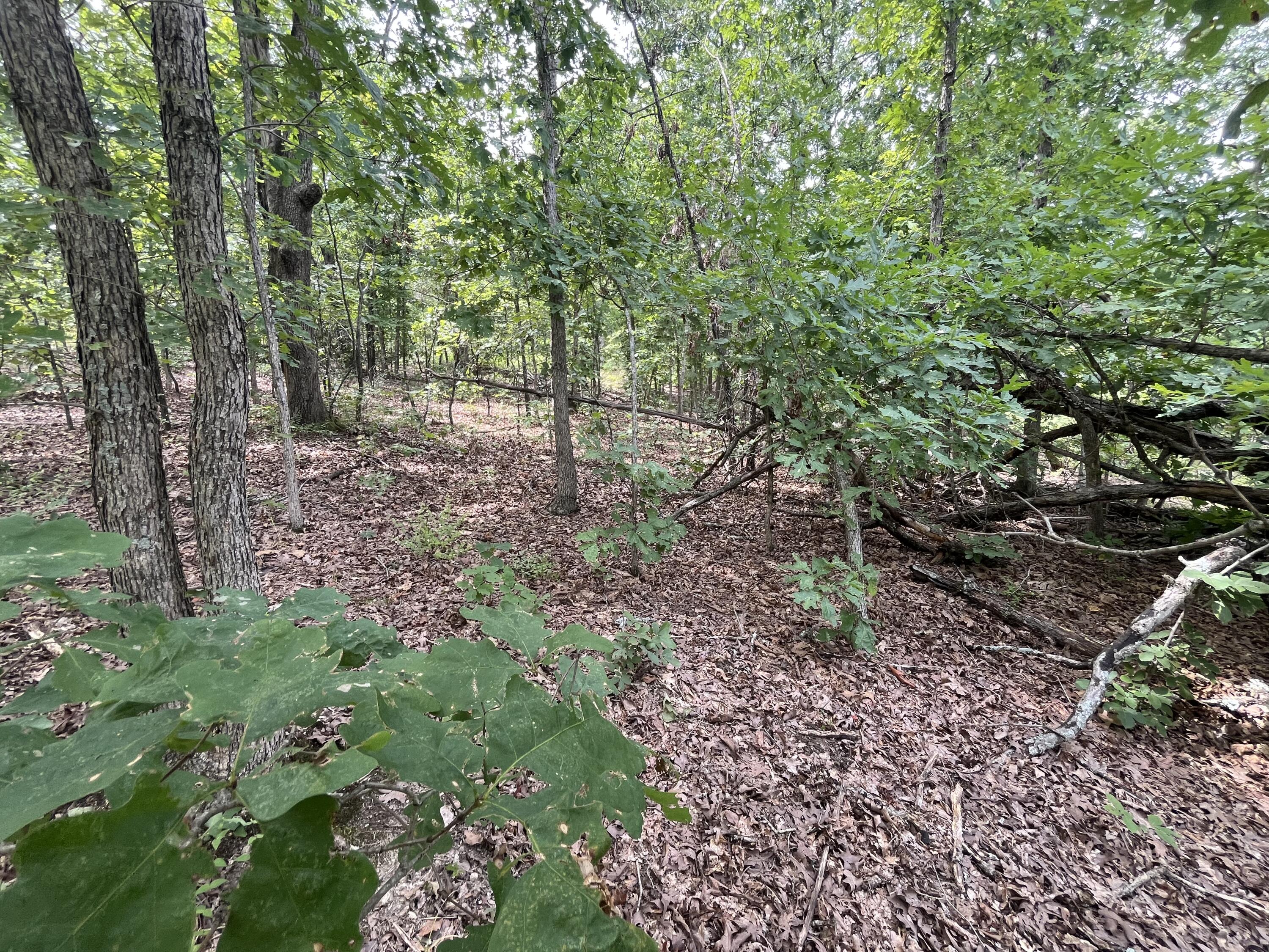 1 Partridge Drive Property Photo 22