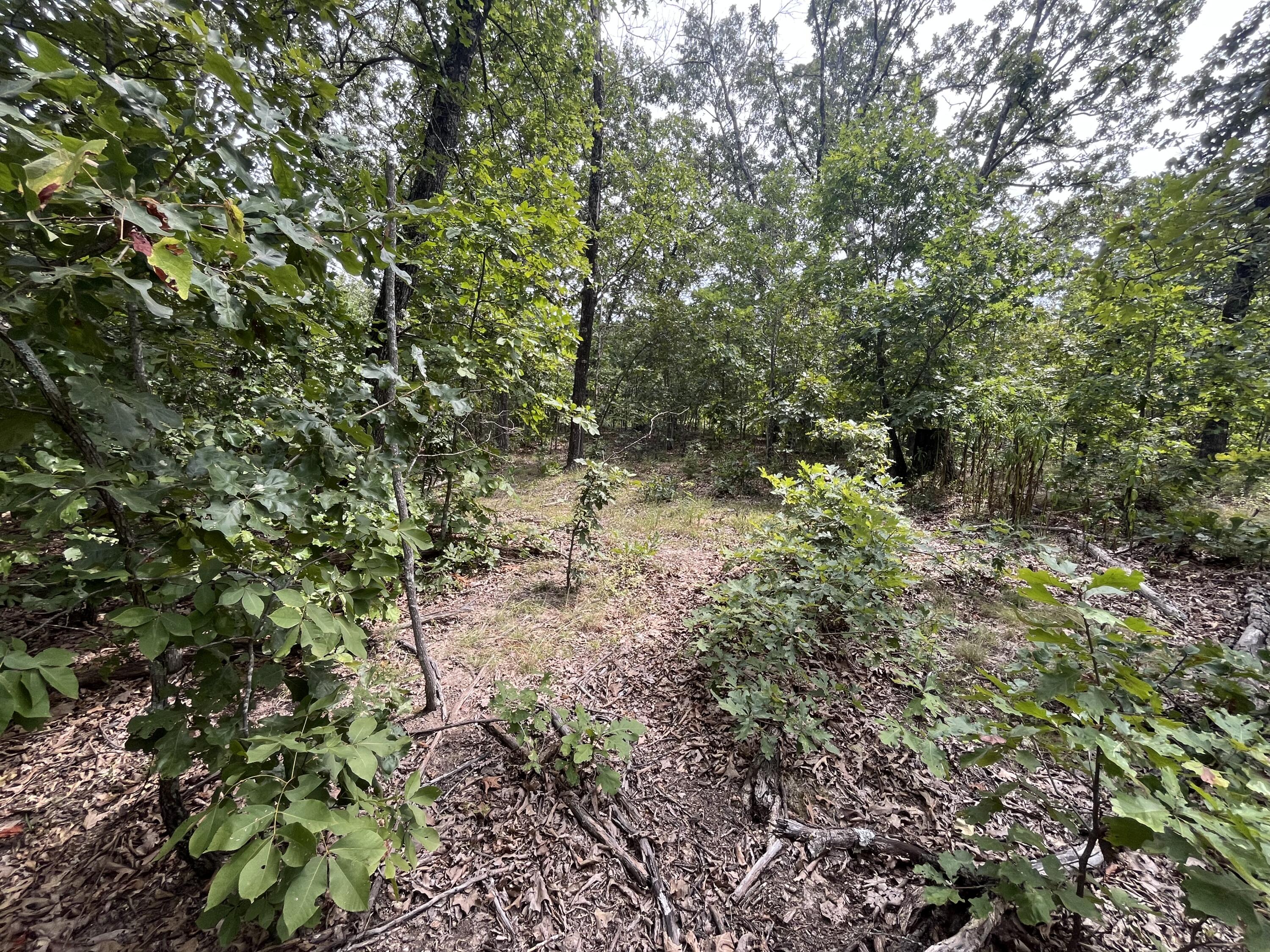 1 Partridge Drive Property Photo 24
