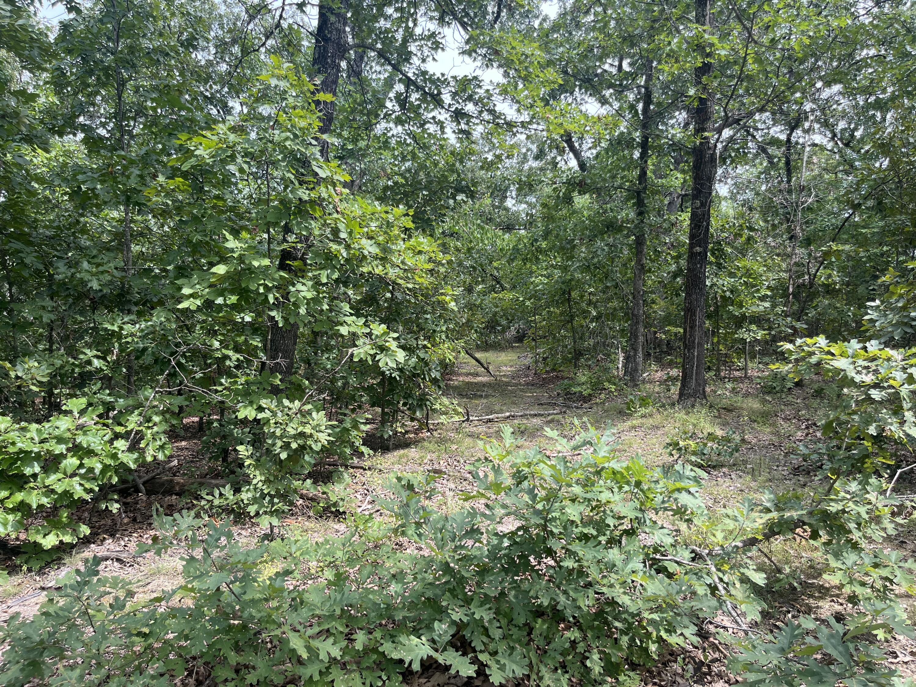 1 Partridge Drive Property Photo 25