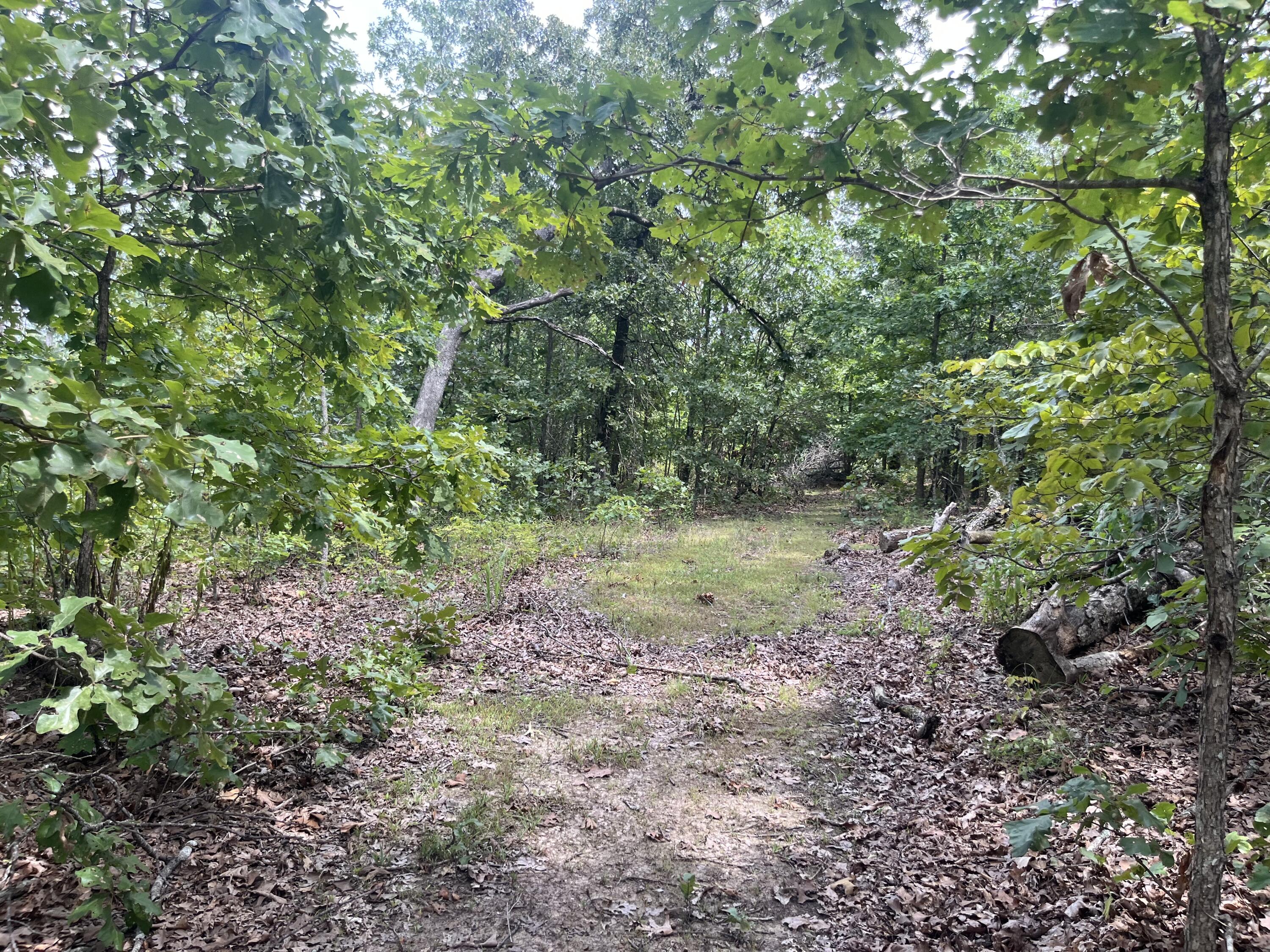 1 Partridge Drive Property Photo 27
