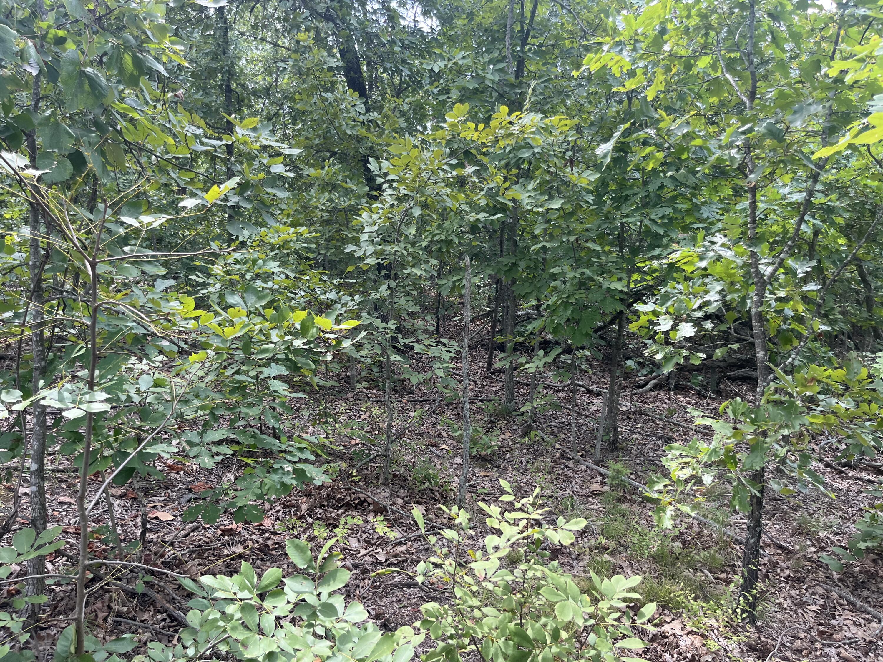 1 Partridge Drive Property Photo 29