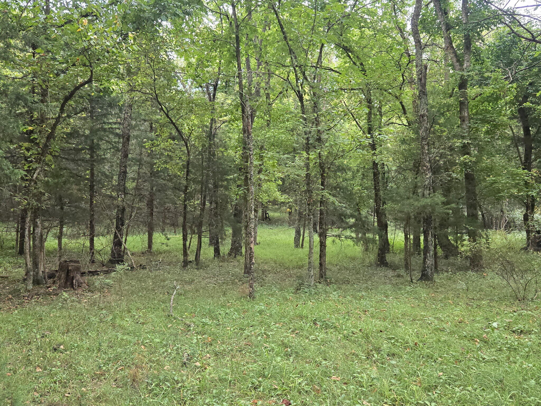3207 South 205th Road Property Photo 45