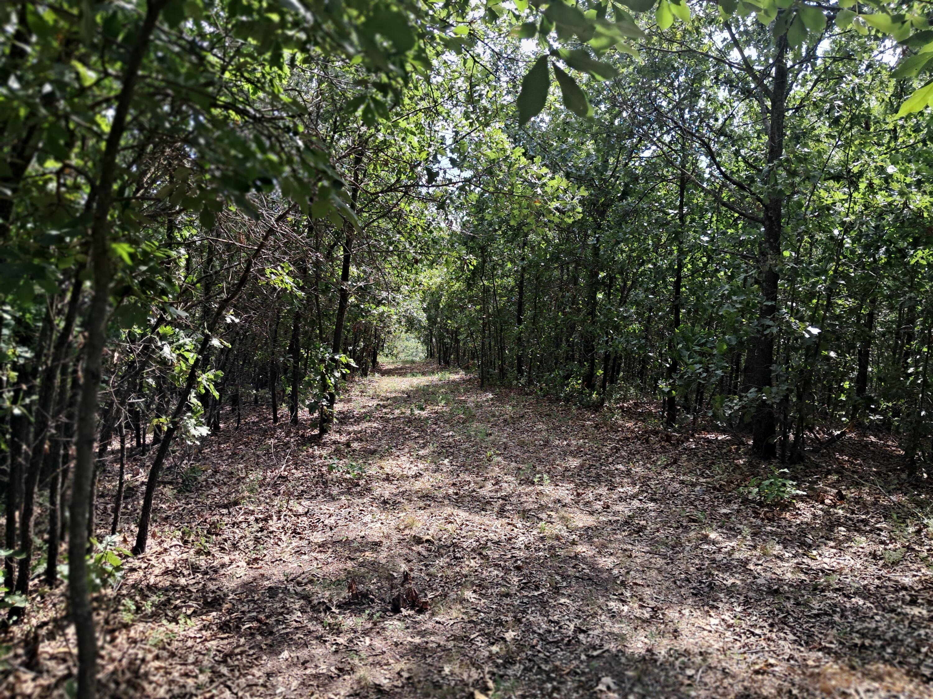 36 Sandlewood Trail Property Photo 13