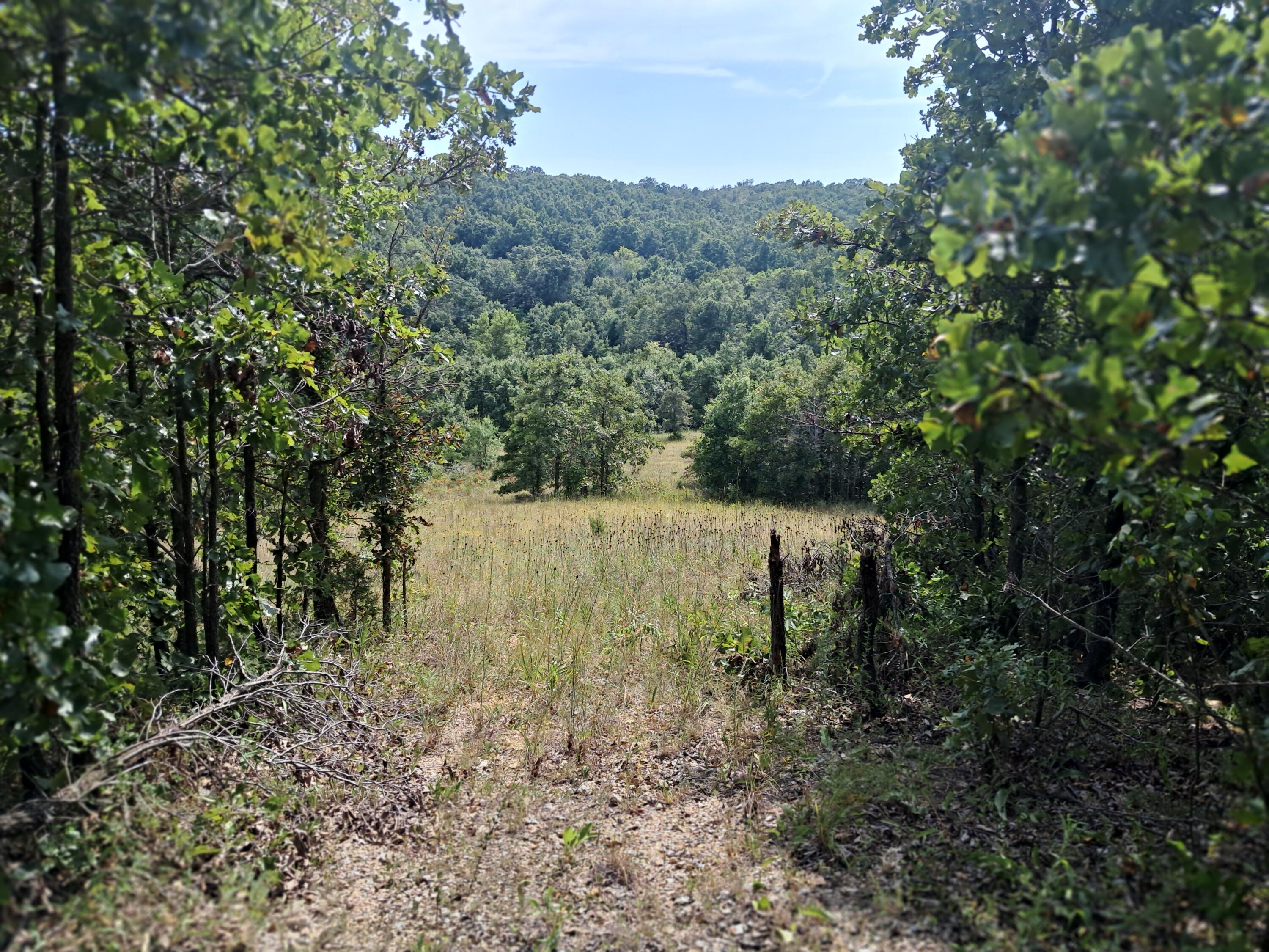 36 Sandlewood Trail Property Photo 14