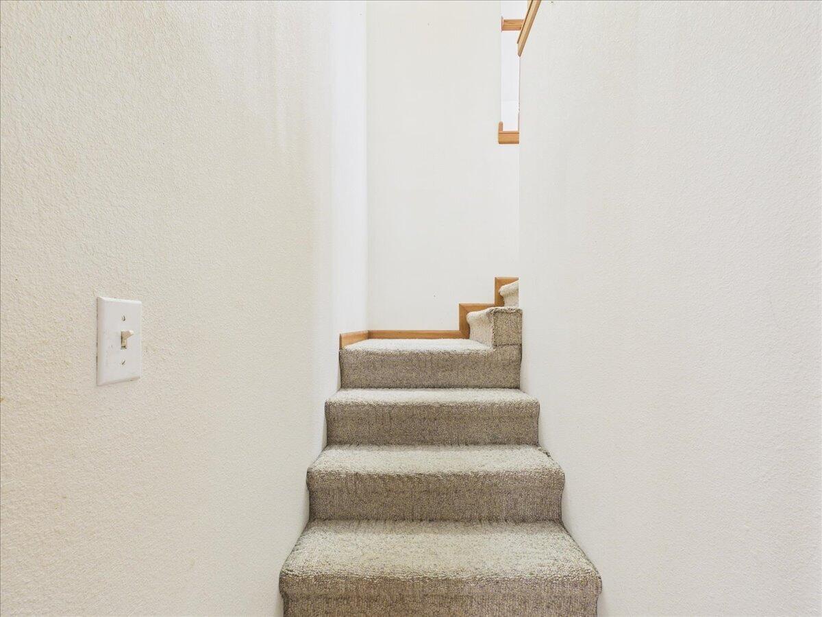 13002 Shafer Road Property Photo 34