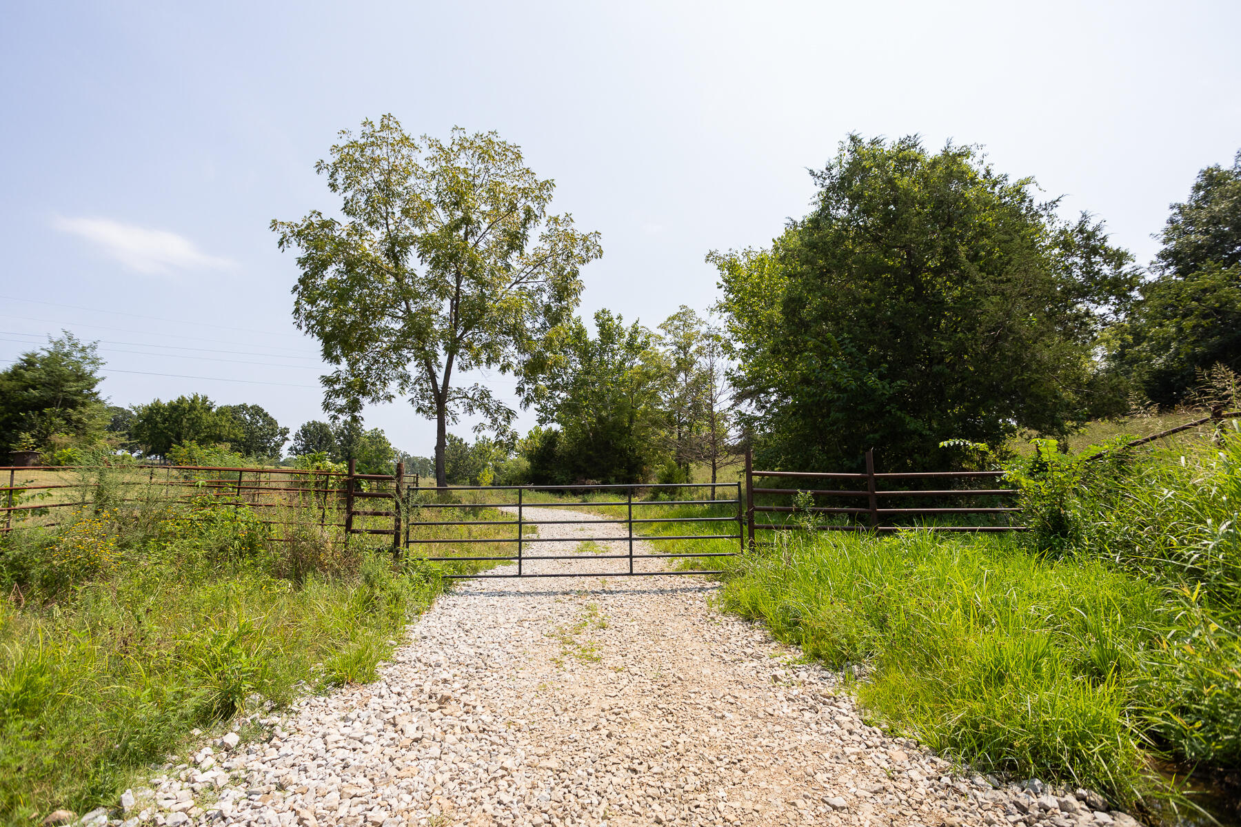 000 County Road 425 Property Photo 2