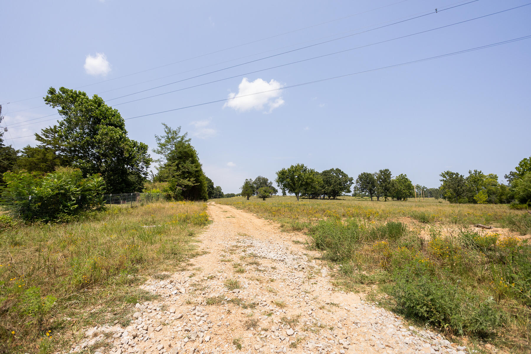 000 County Road 425 Property Photo 3