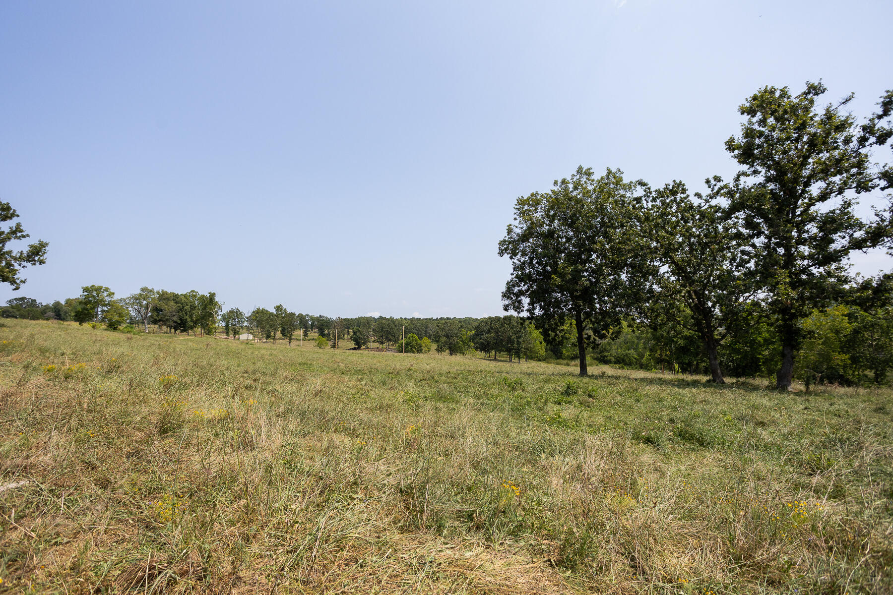 000 County Road 425 Property Photo 4
