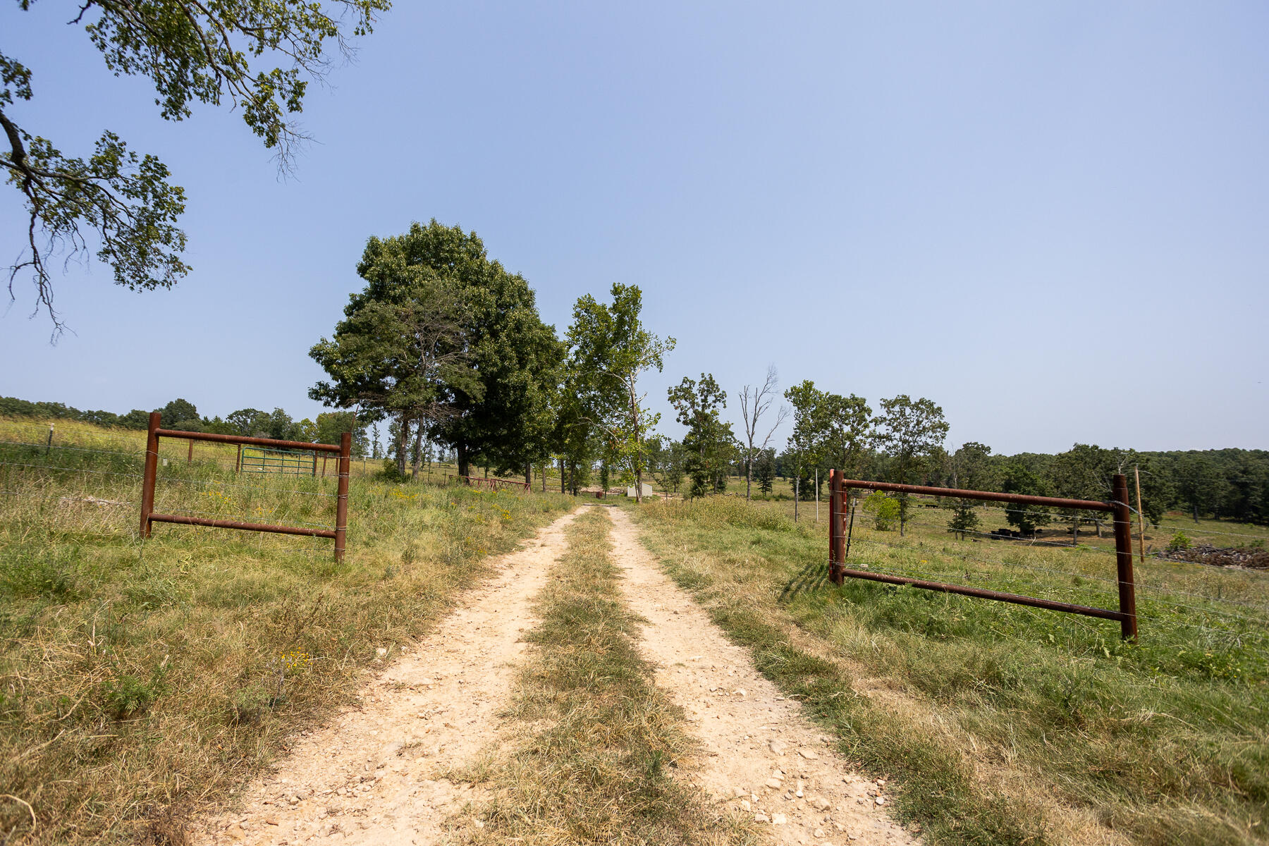 000 County Road 425 Property Photo 6