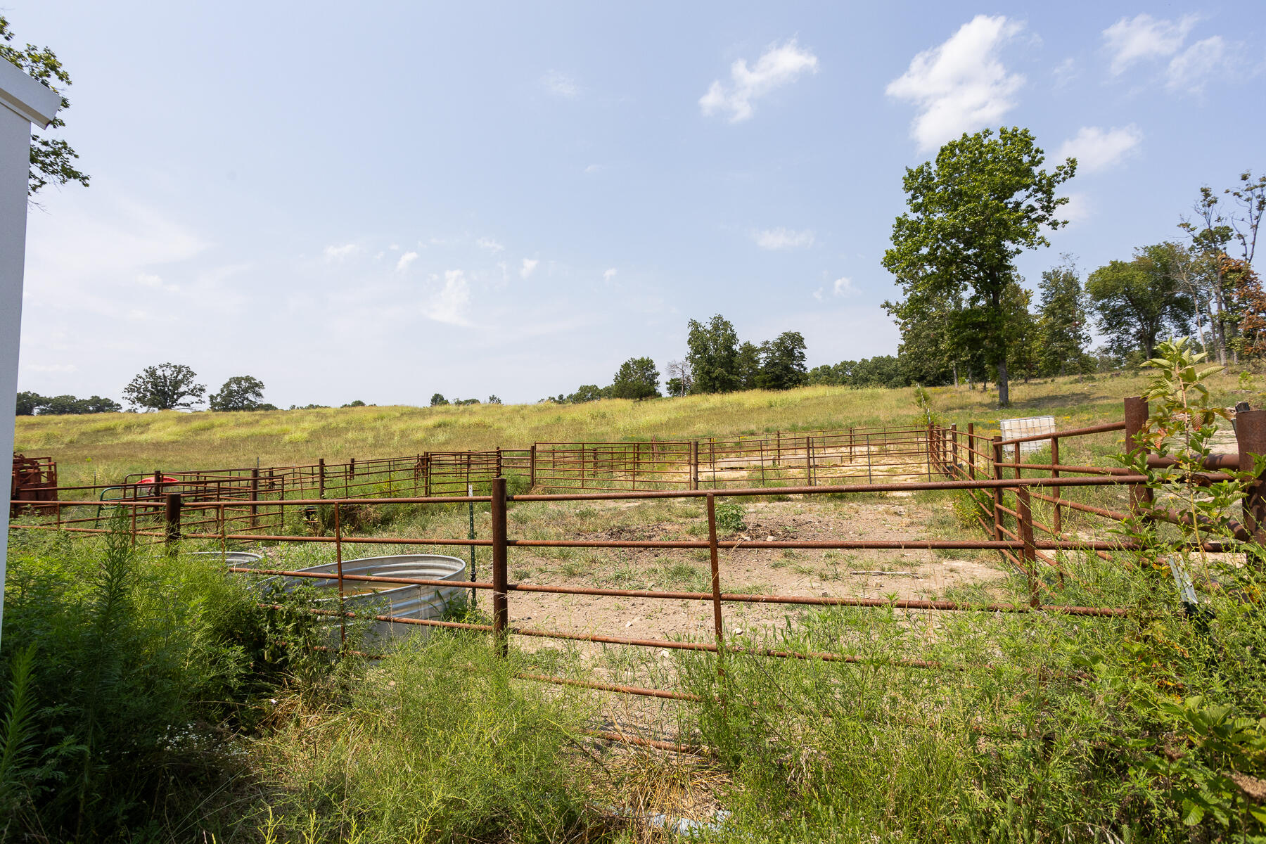 000 County Road 425 Property Photo 13