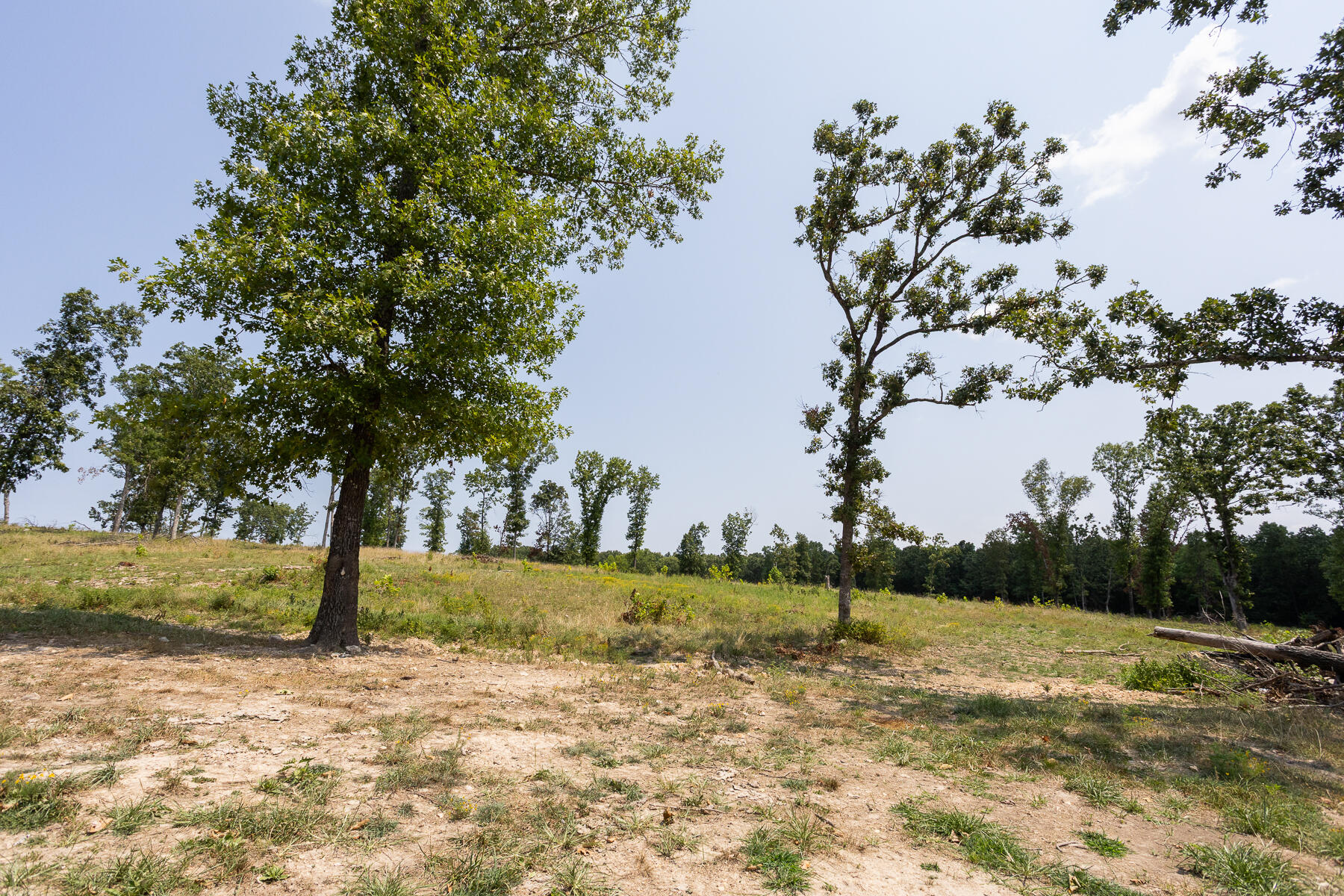 000 County Road 425 Property Photo 15