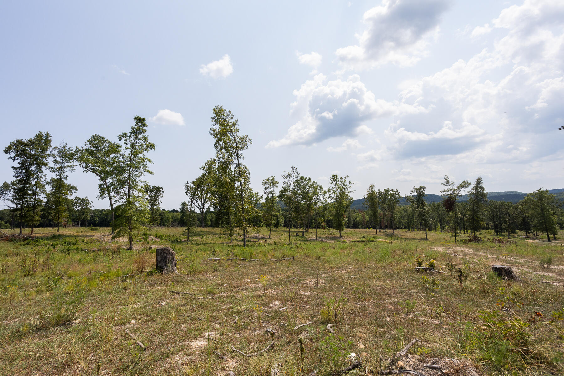 000 County Road 425 Property Photo 17