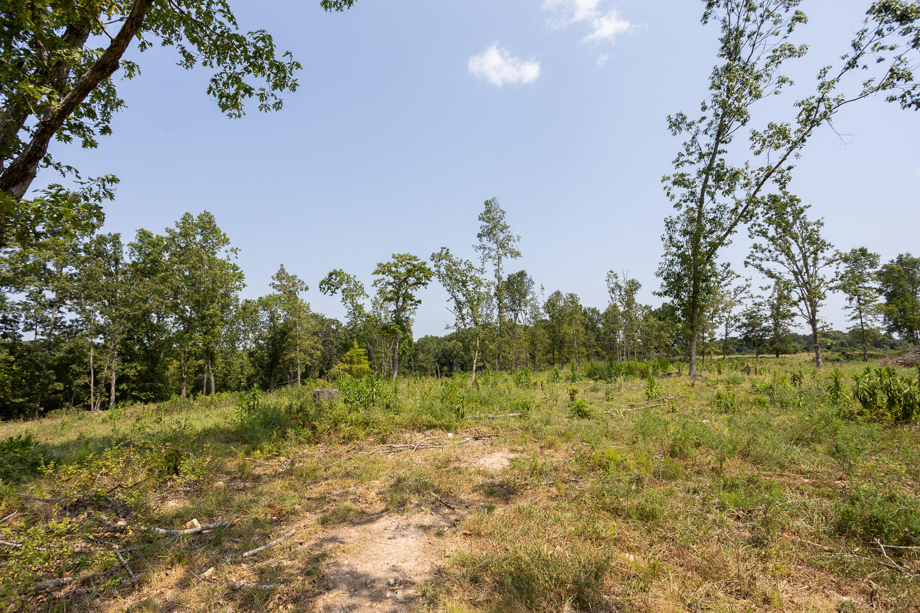 000 County Road 425 Property Photo 18