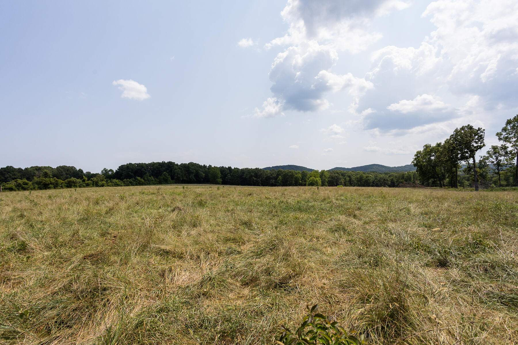 000 County Road 425 Property Photo 19