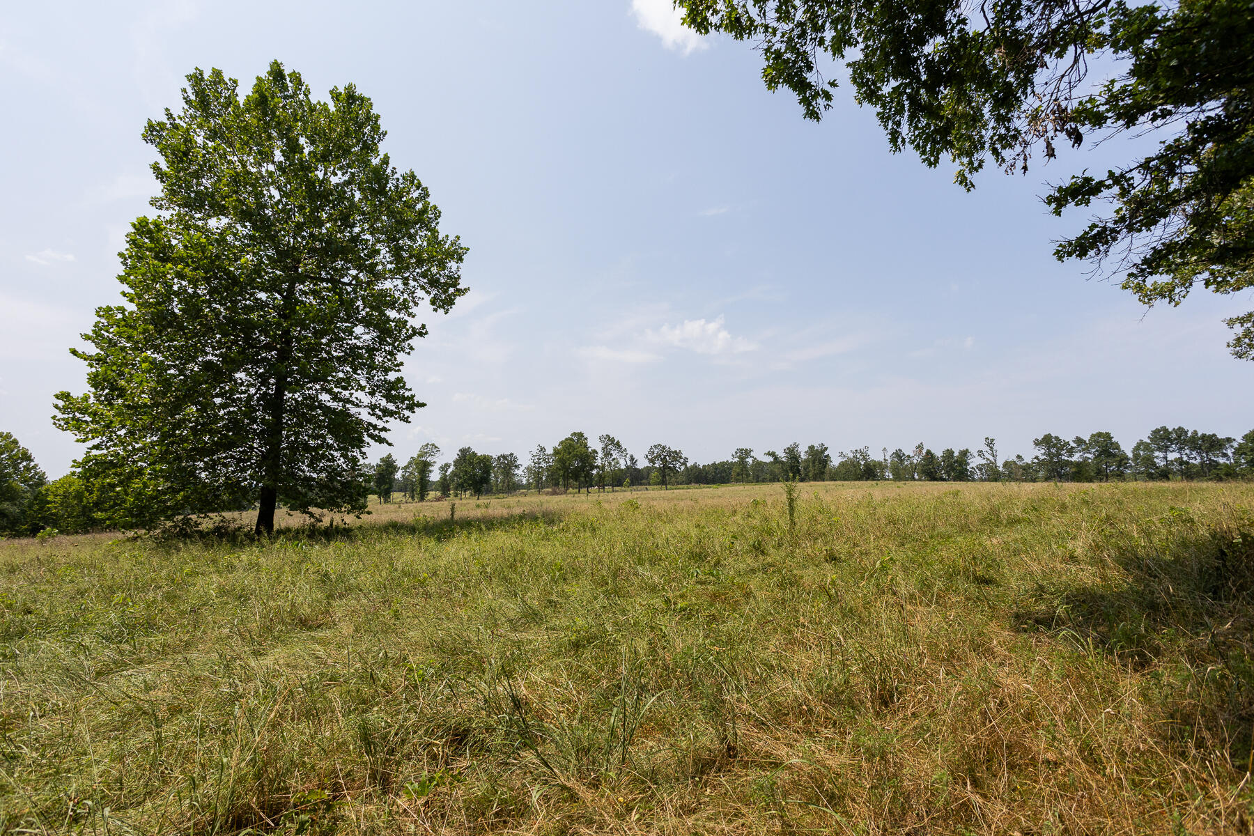 000 County Road 425 Property Photo 21