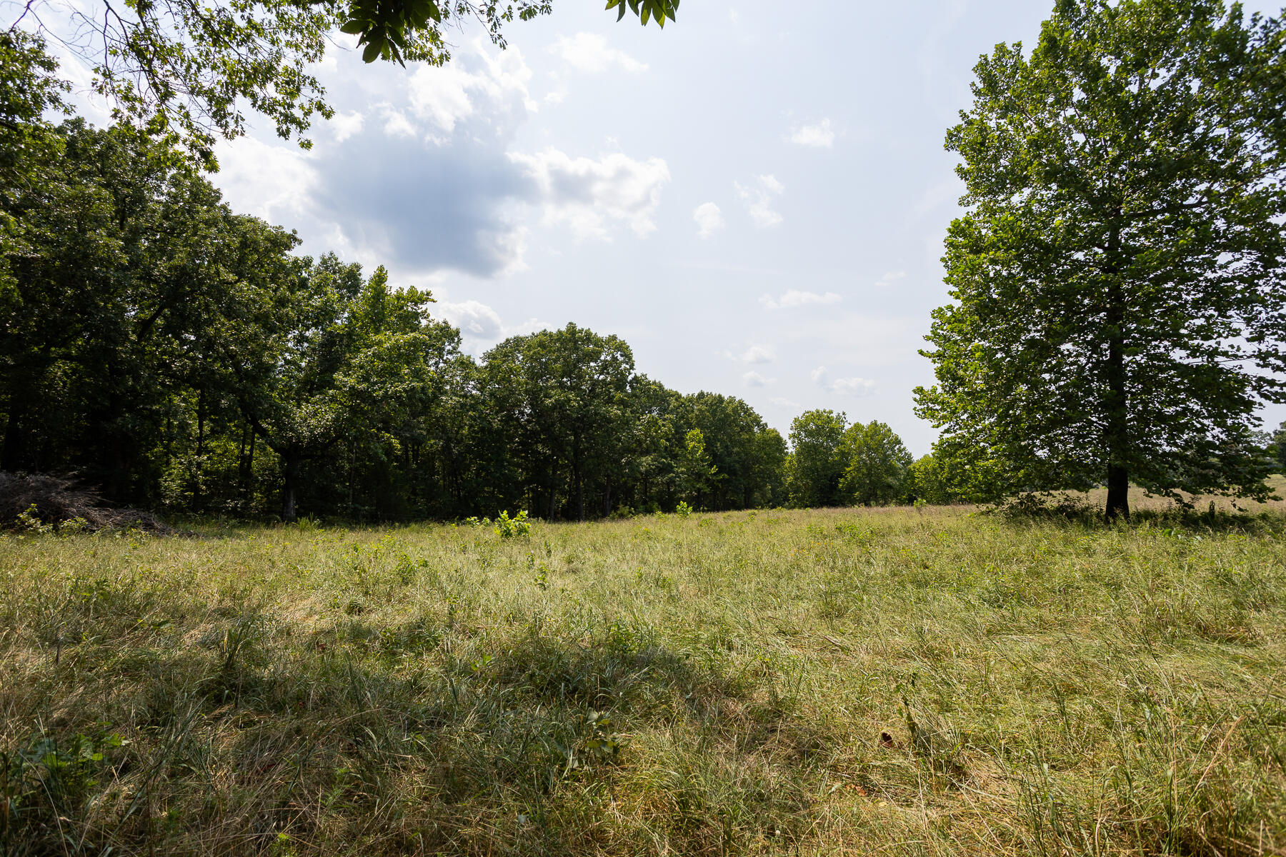 000 County Road 425 Property Photo 22