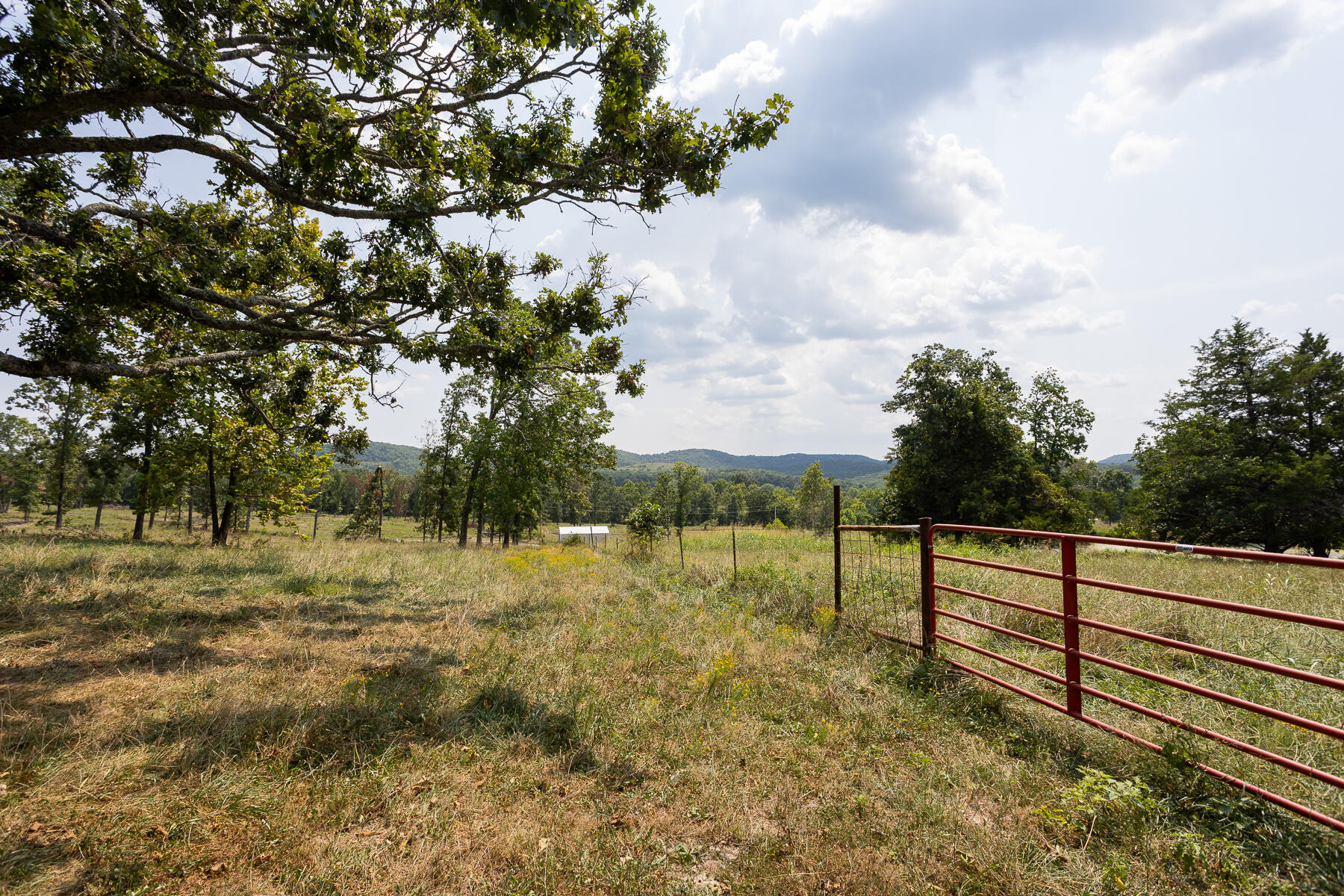 000 County Road 425 Property Photo 24