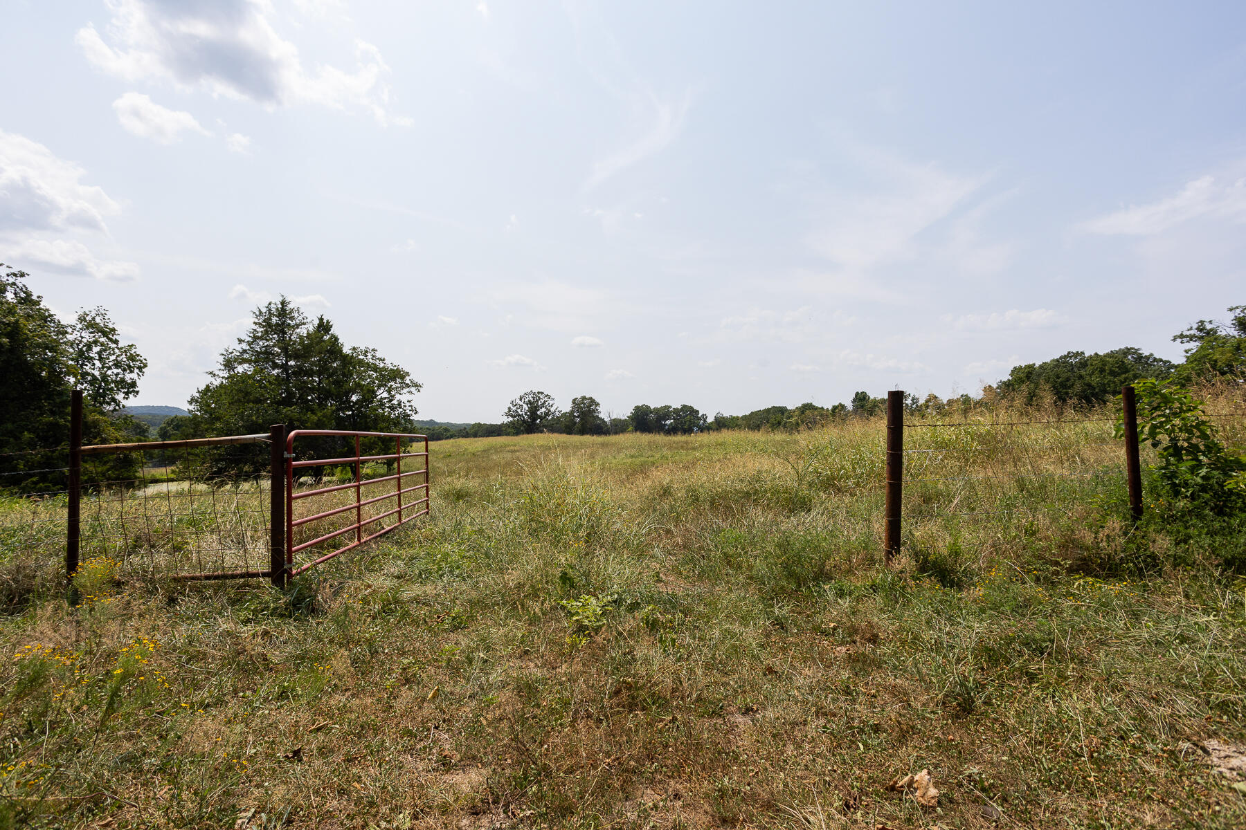 000 County Road 425 Property Photo 25