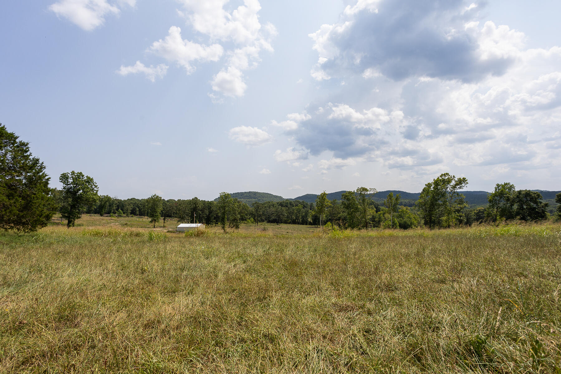 000 County Road 425 Property Photo 27