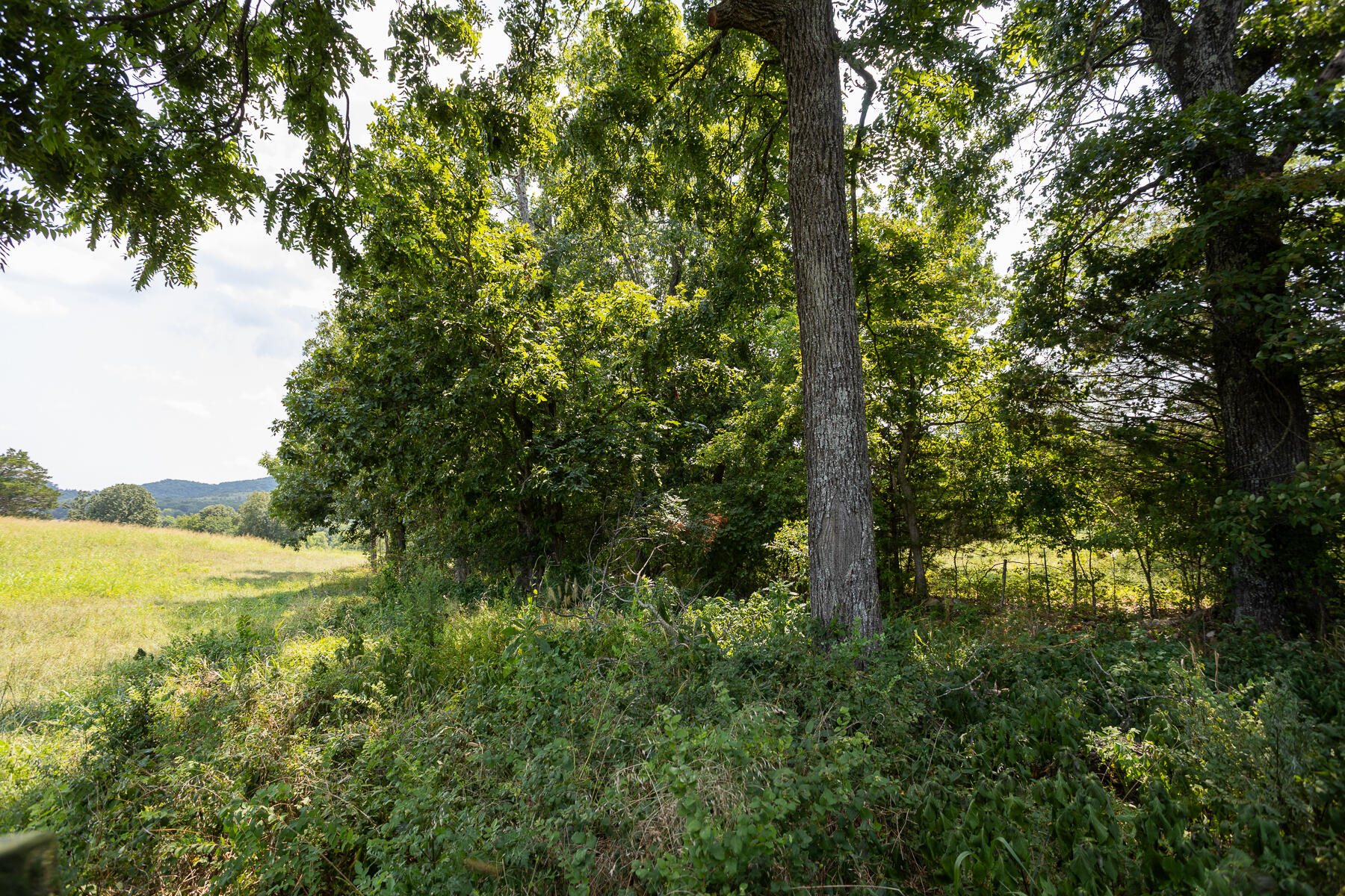 000 County Road 425 Property Photo 30