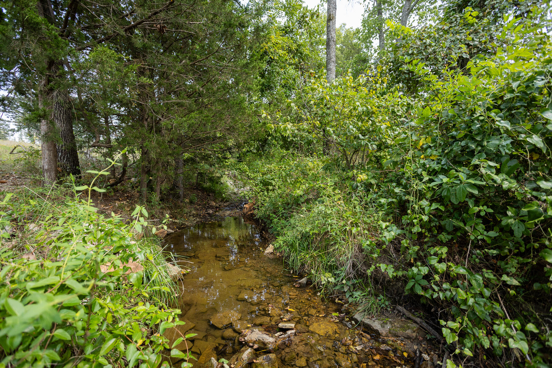 000 County Road 425 Property Photo 33