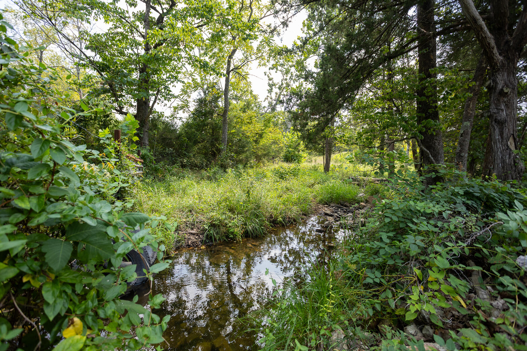 000 County Road 425 Property Photo 34