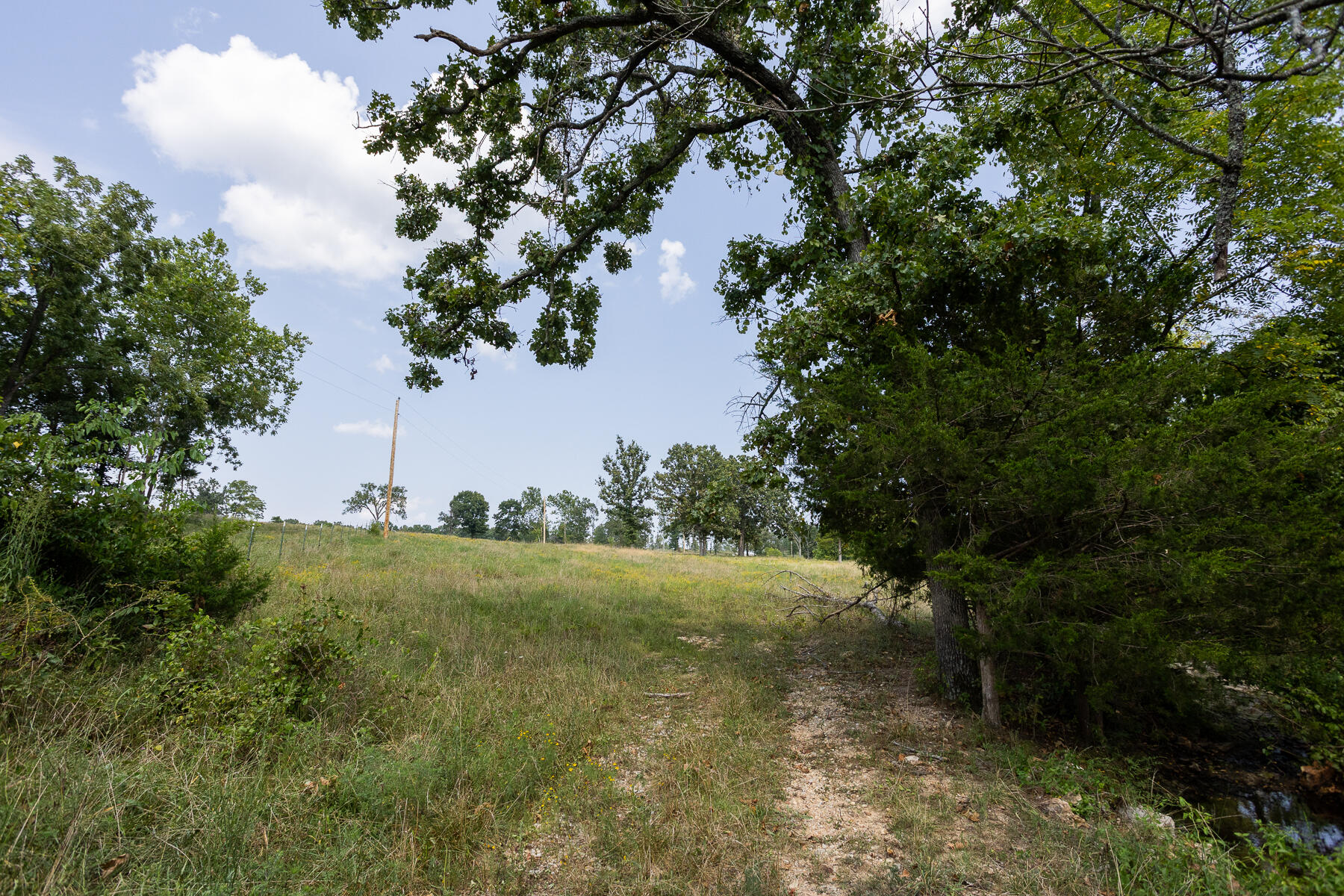 000 County Road 425 Property Photo 35