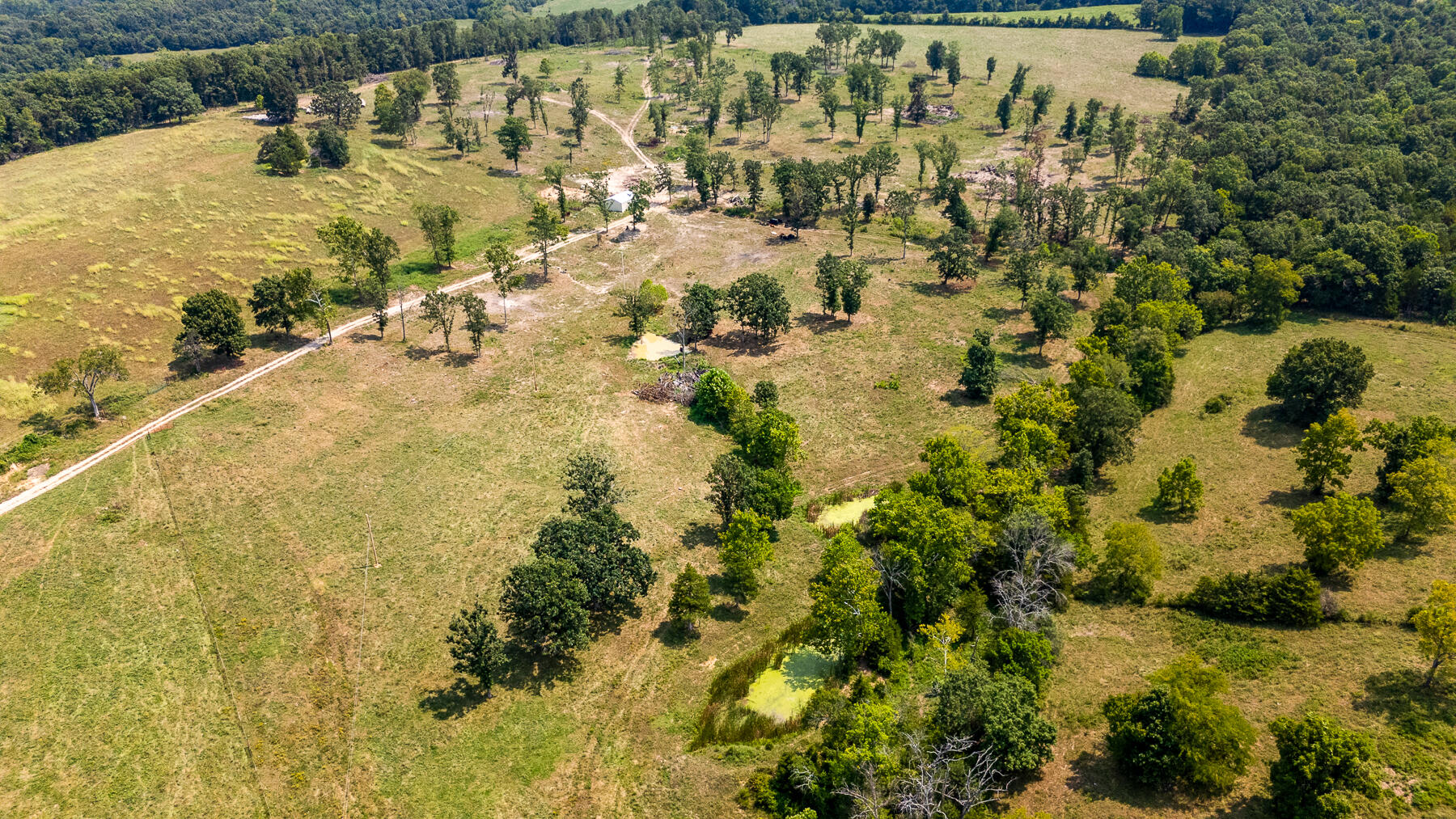 000 County Road 425 Property Photo 42