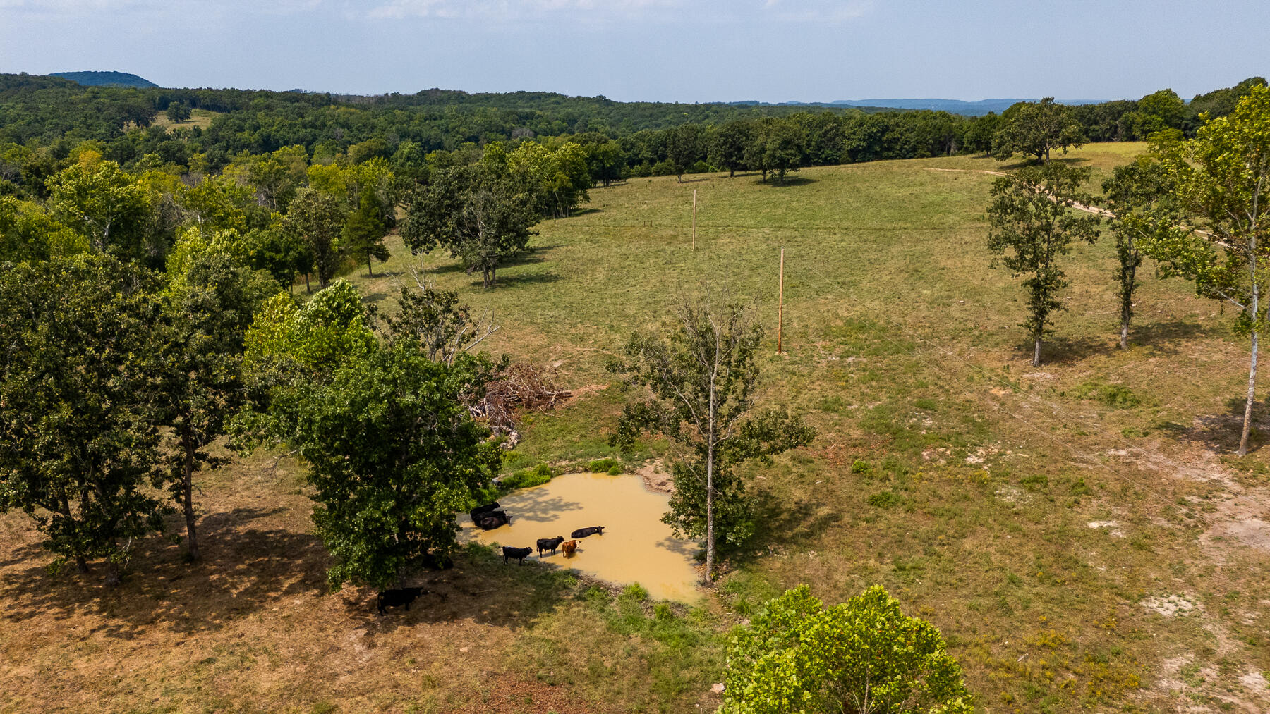 000 County Road 425 Property Photo 56