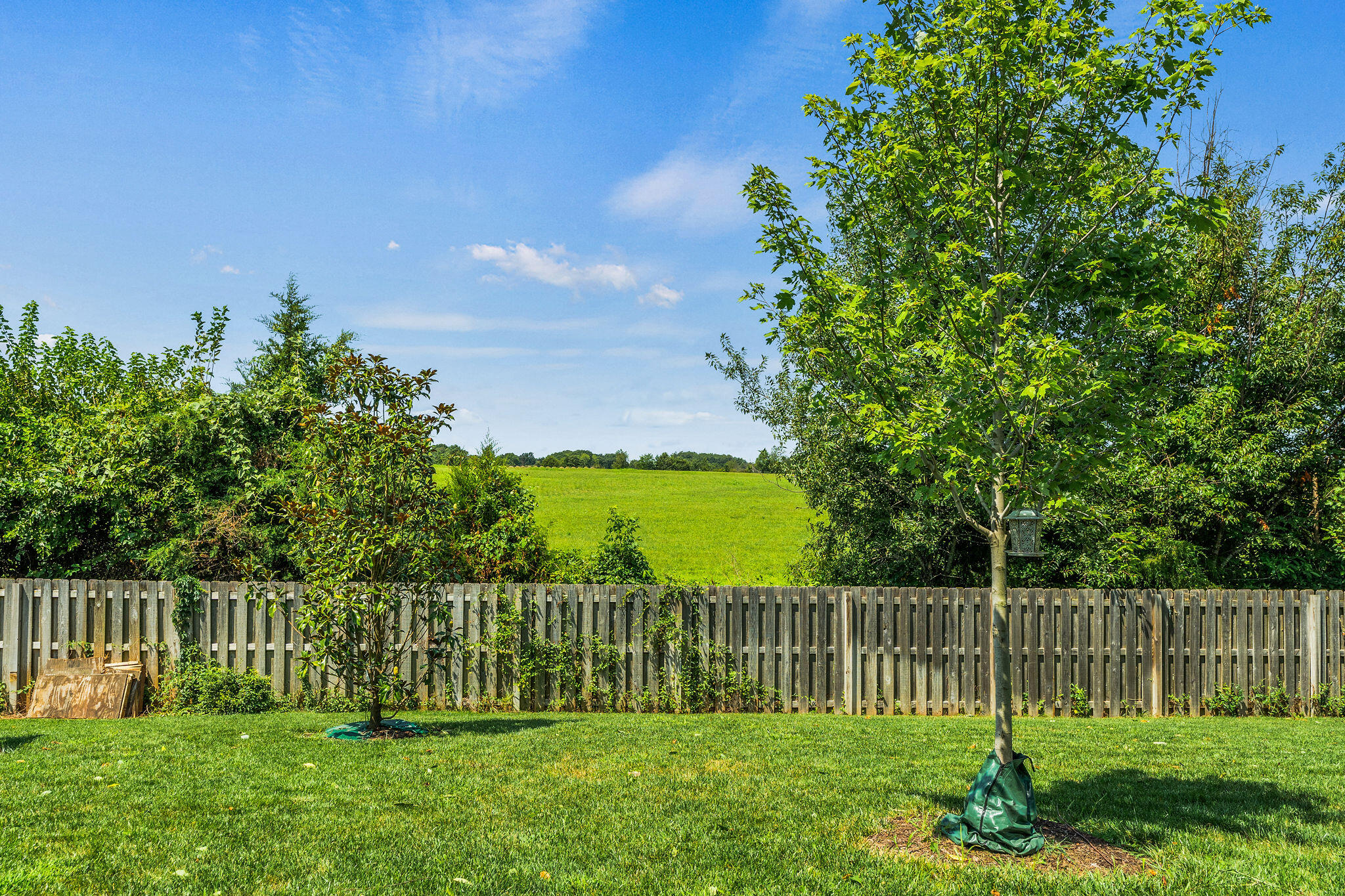 4457 Rome Avenue Property Photo 53