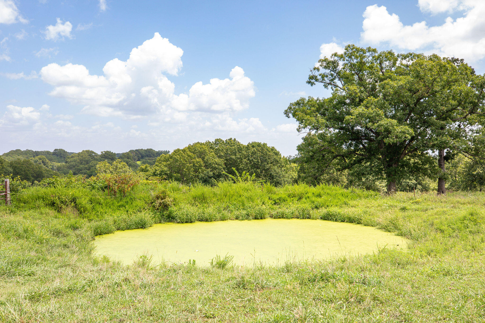 Tbd Dewdrop Road Property Photo 4