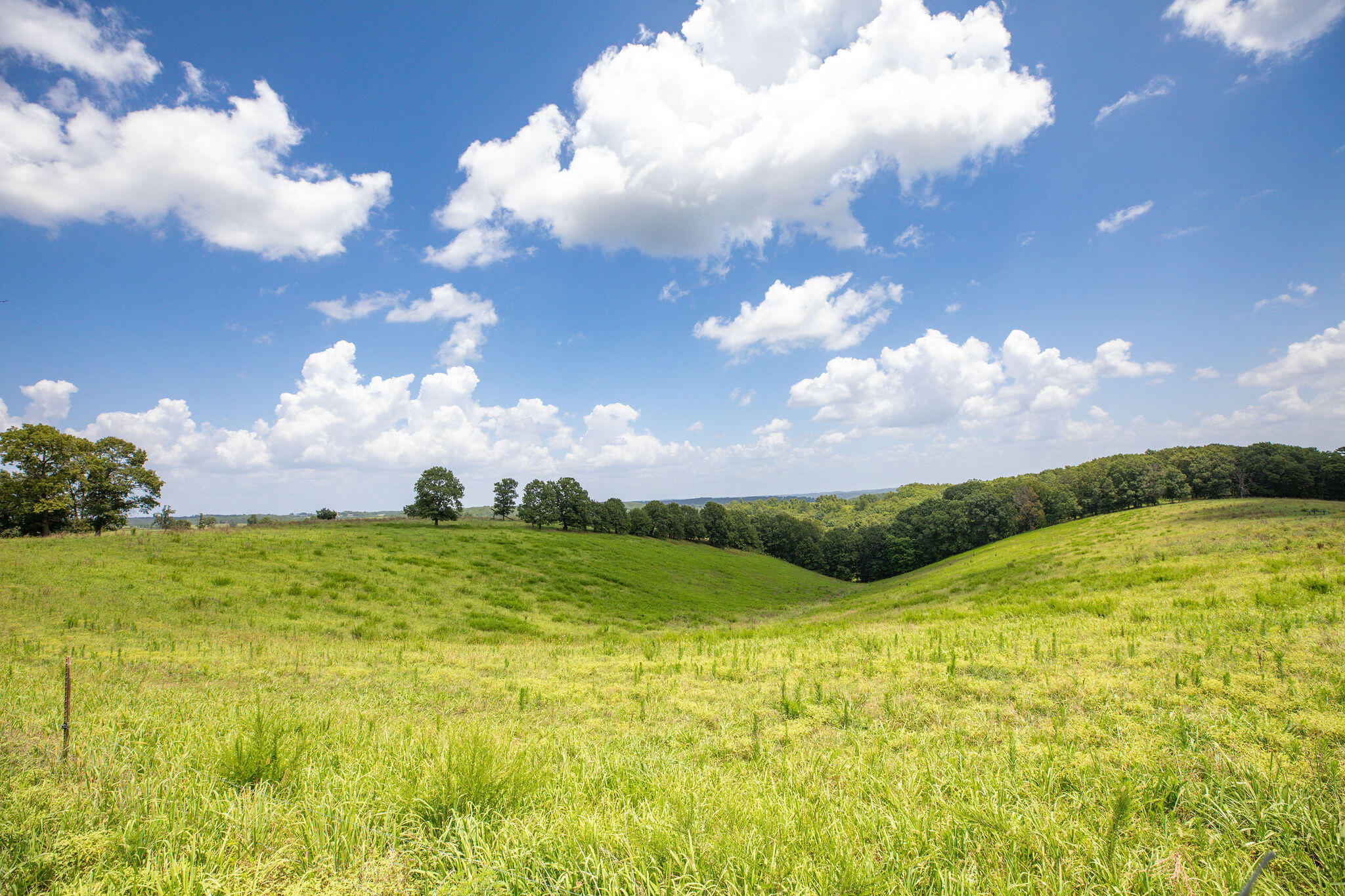 Tbd Dewdrop Road Property Photo 5