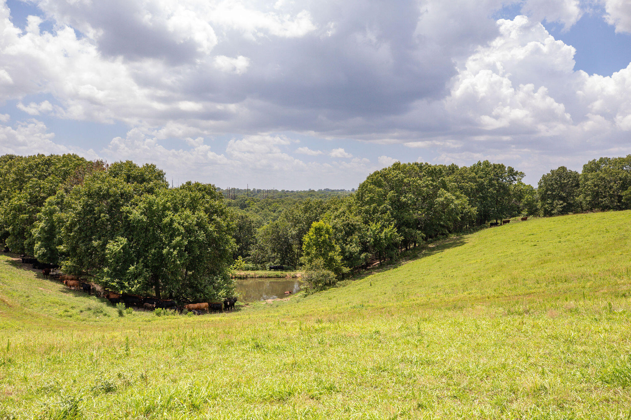 Tbd Dewdrop Road Property Photo 6