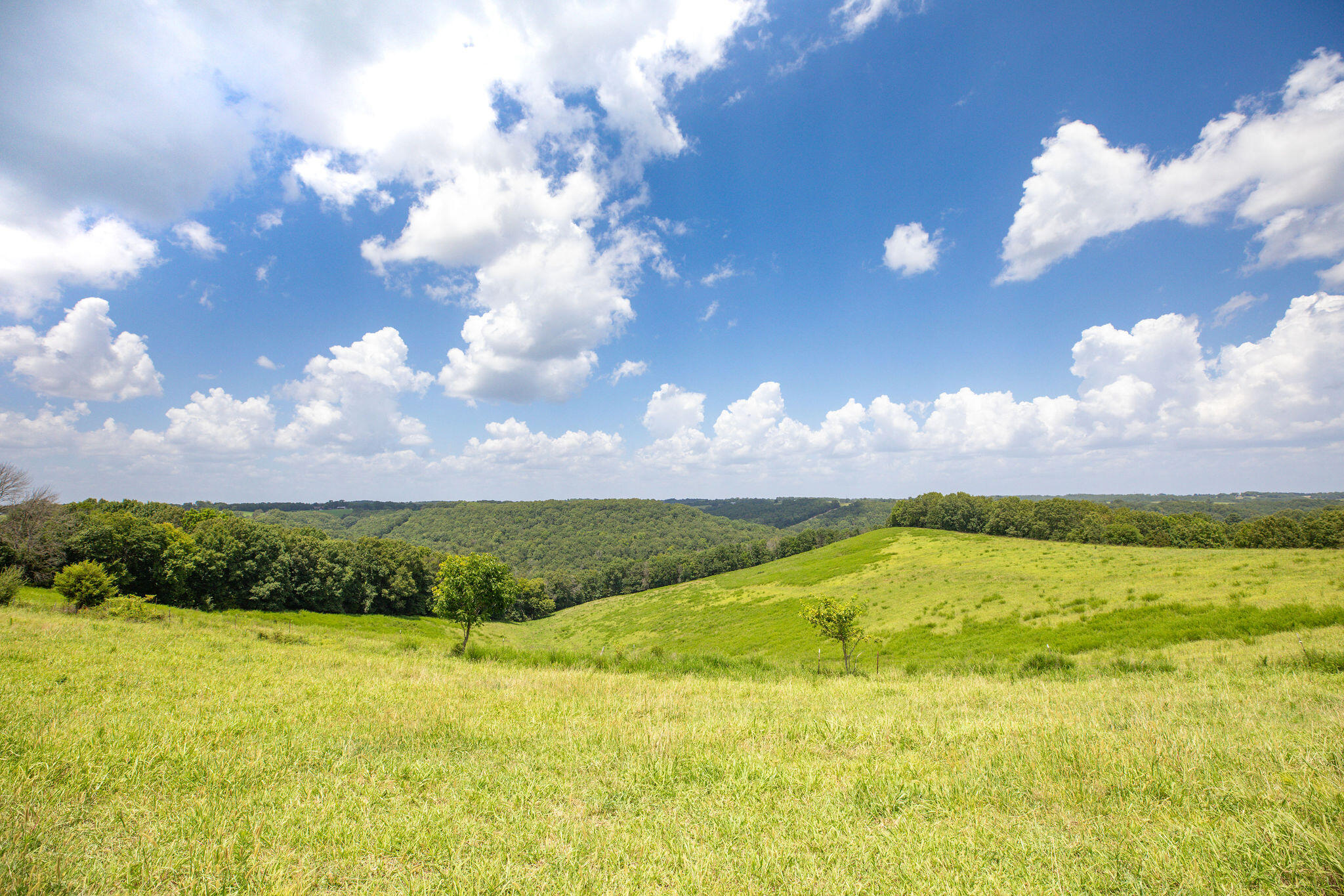 Tbd Dewdrop Road Property Photo 7