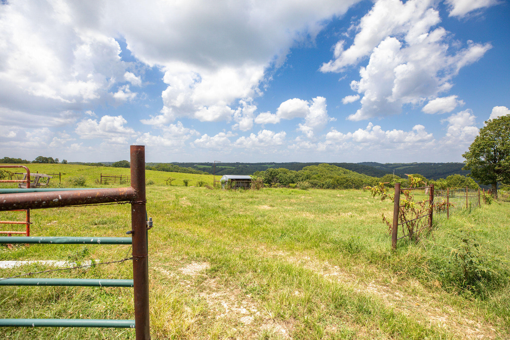 Tbd Dewdrop Road Property Photo 8