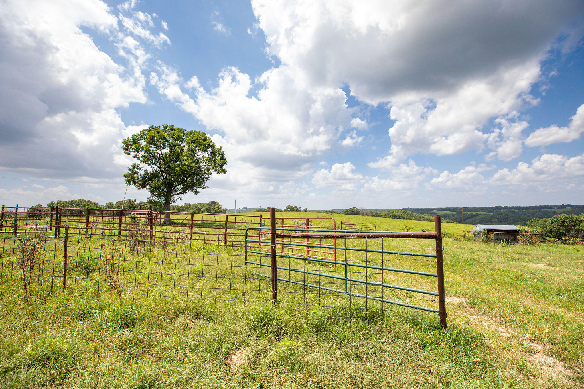 Tbd Dewdrop Road Property Photo 9