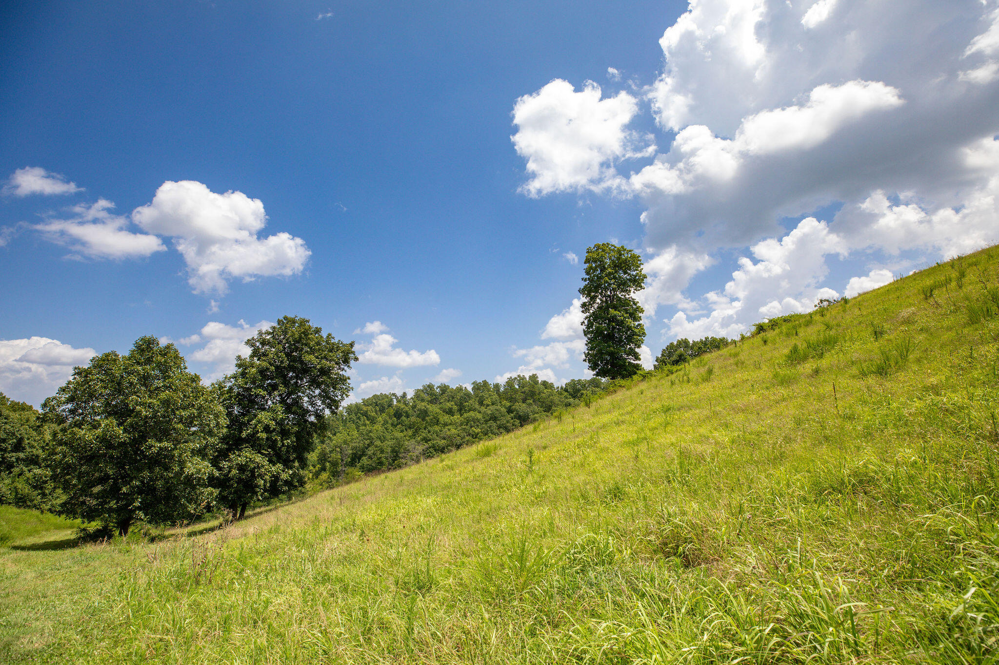 Tbd Dewdrop Road Property Photo 10