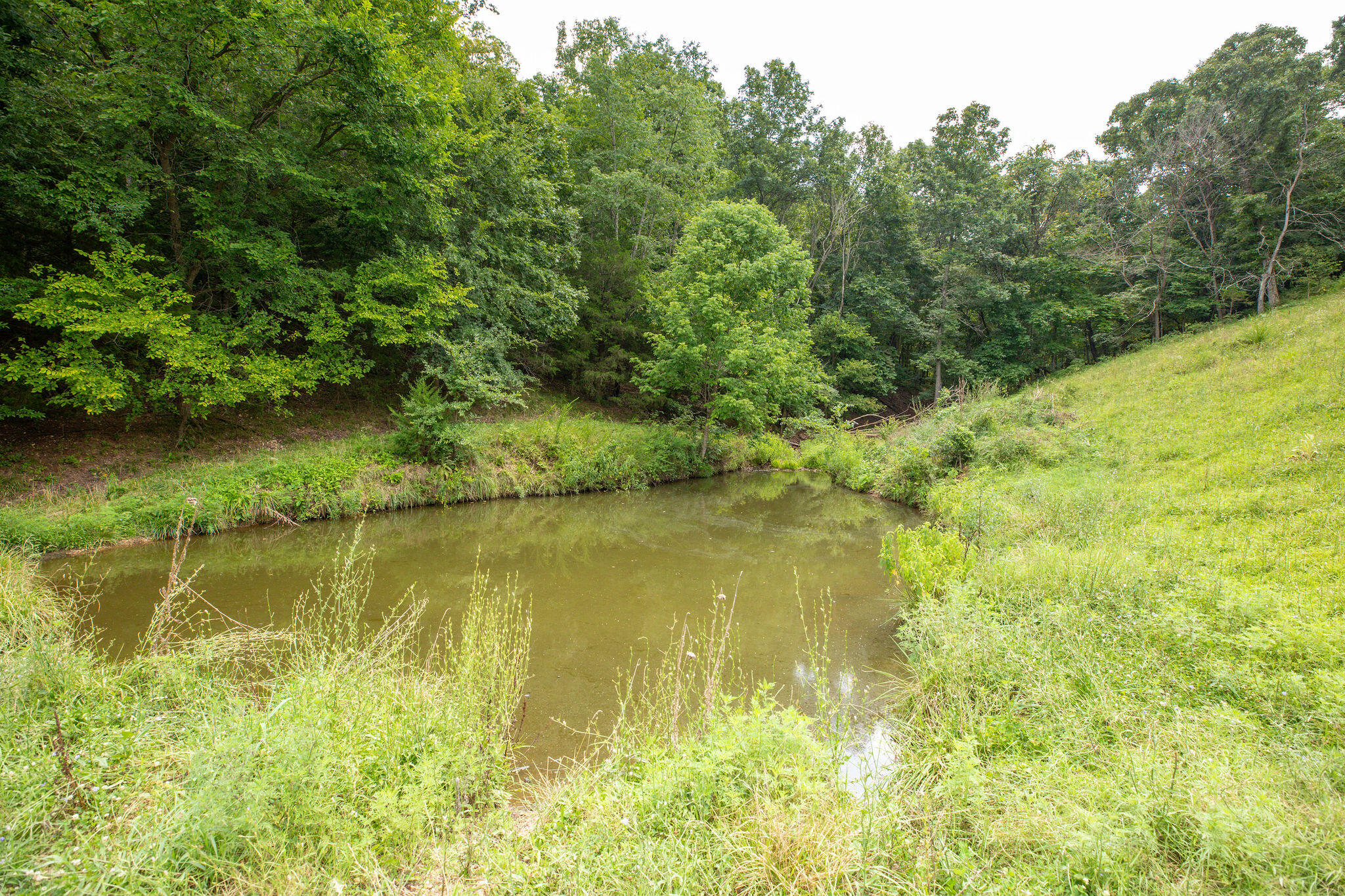 Tbd Dewdrop Road Property Photo 11