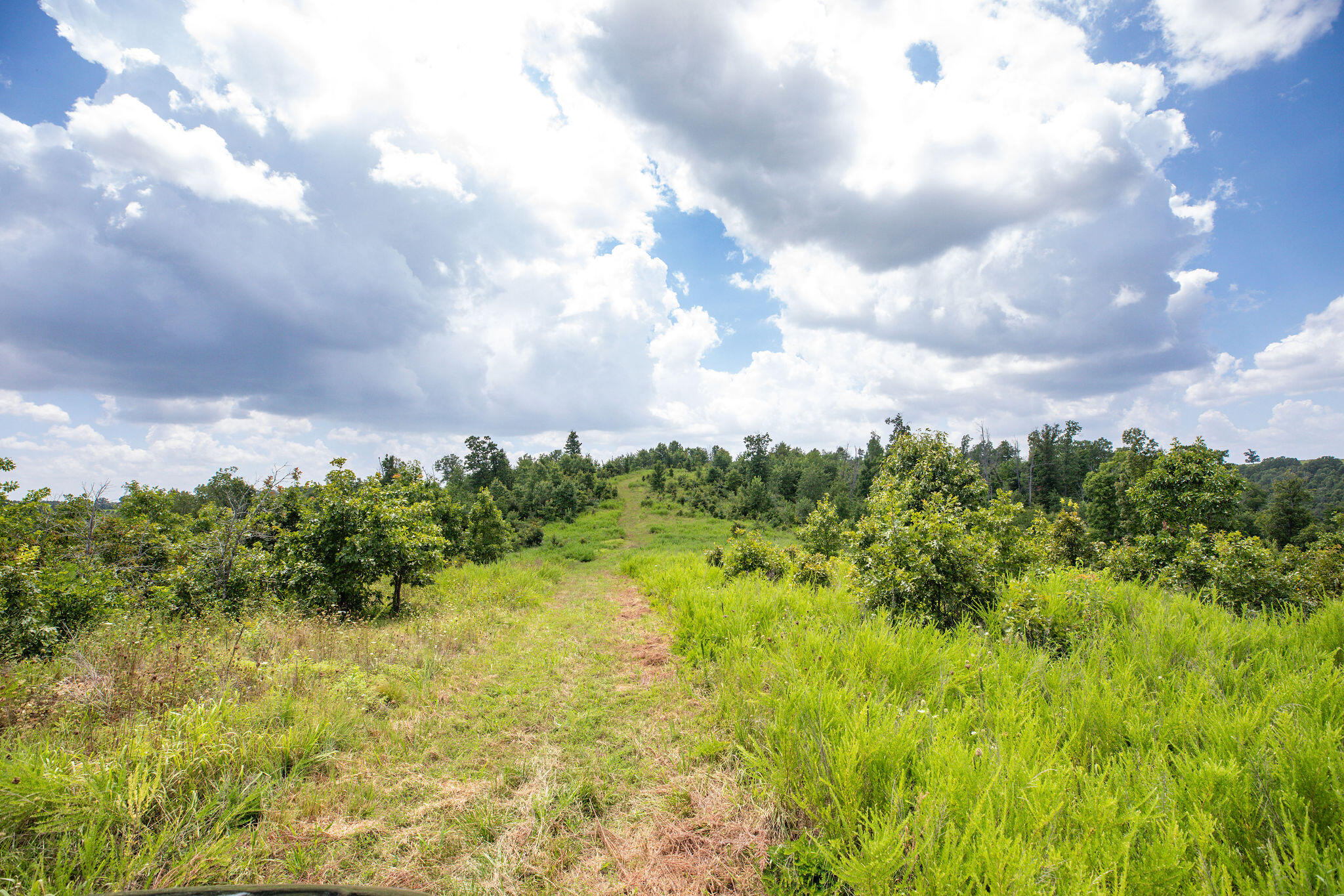 Tbd Dewdrop Road Property Photo 12