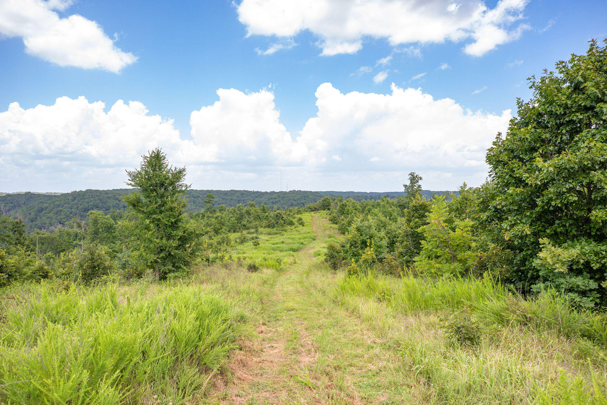 Tbd Dewdrop Road Property Photo 13