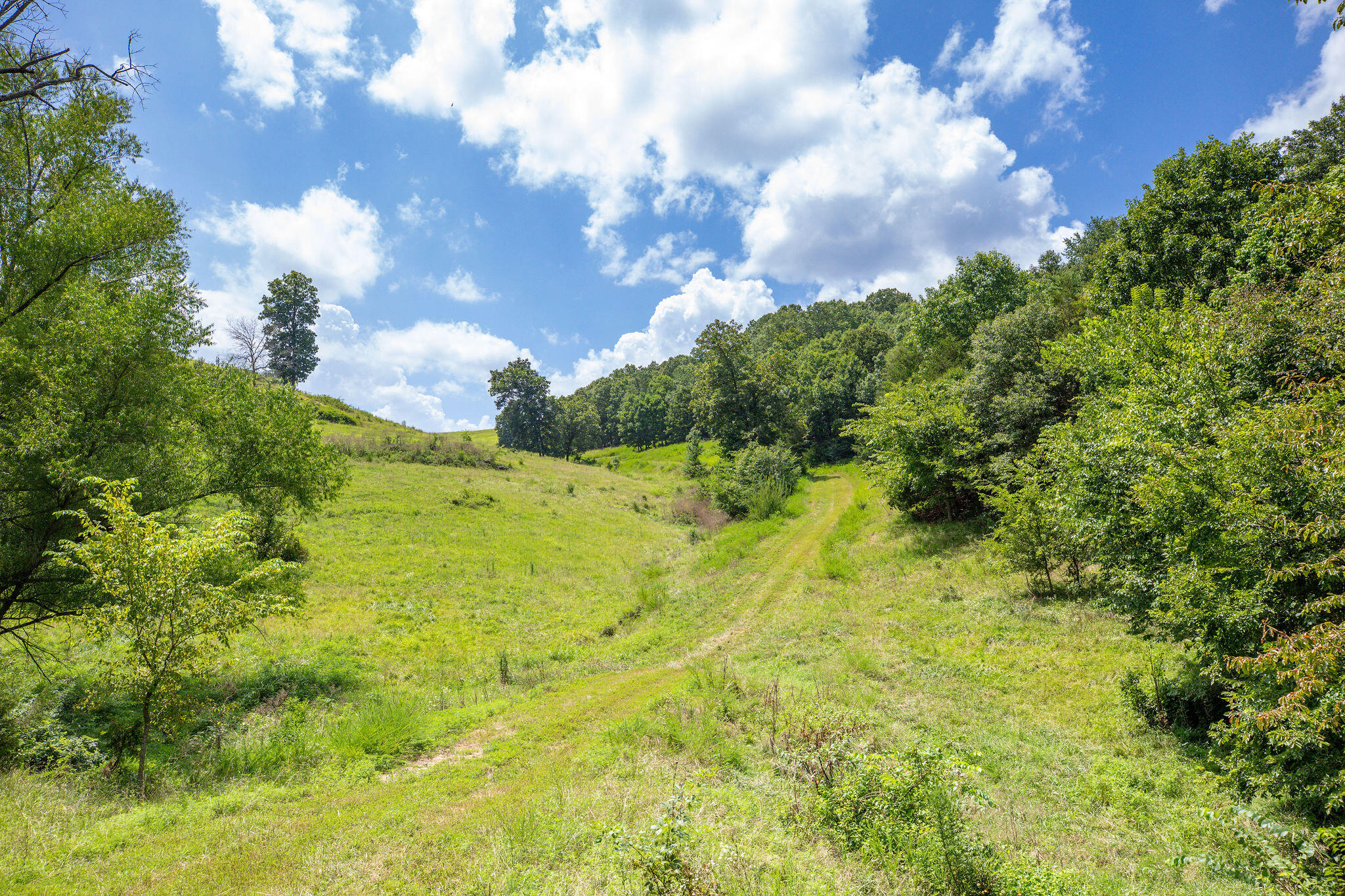 Tbd Dewdrop Road Property Photo 14