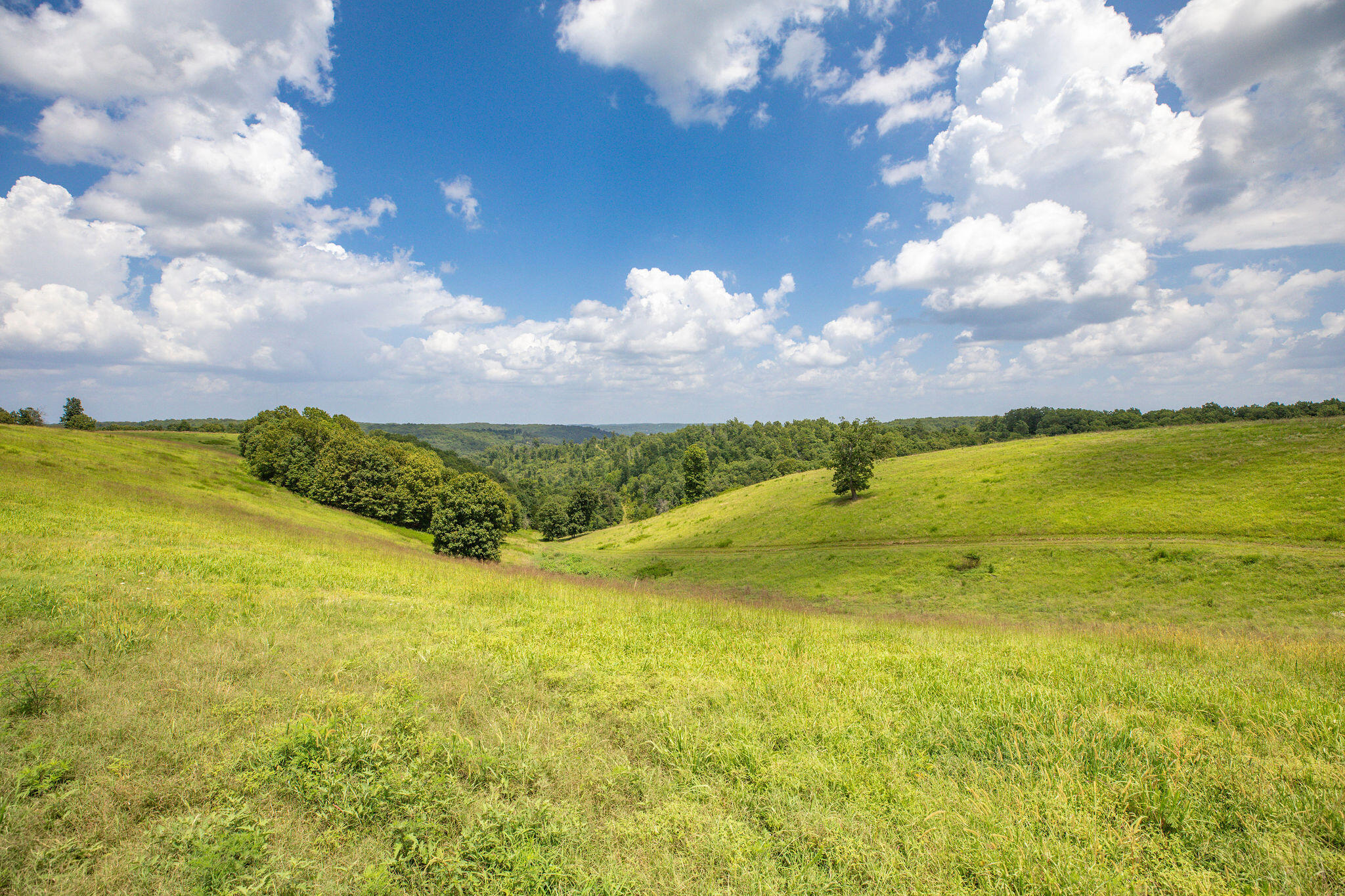 Tbd Dewdrop Road Property Photo 15